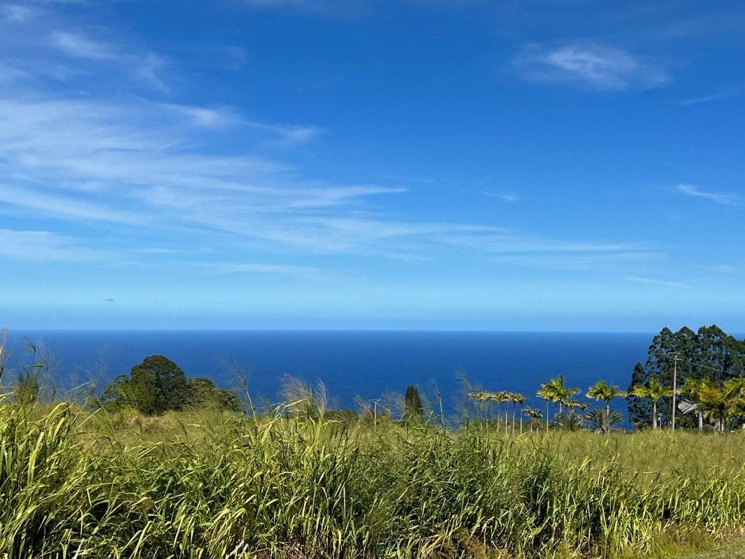 Laupahoehoe, HI 96764,KIHALANI HOMESTEAD RD