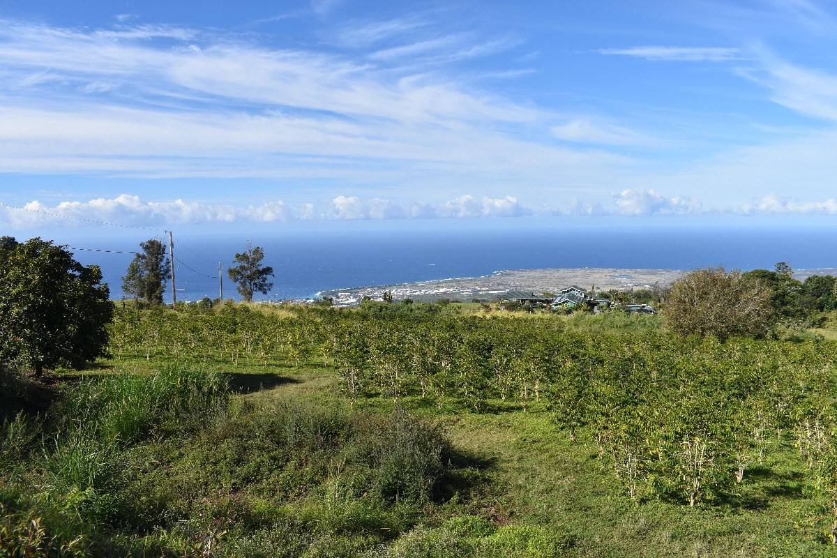 Holualoa, HI 96725,KUAHEWA ROAD