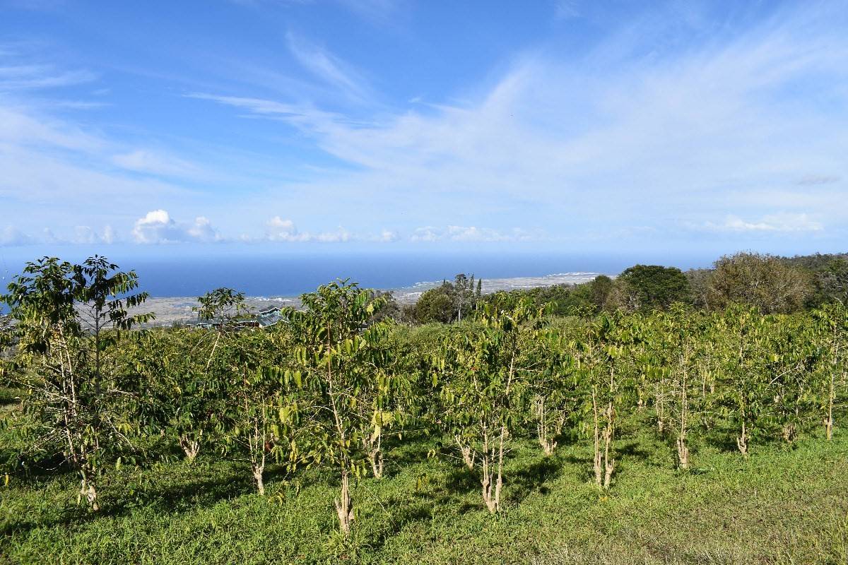 Holualoa, HI 96725,KUAHEWA ROAD