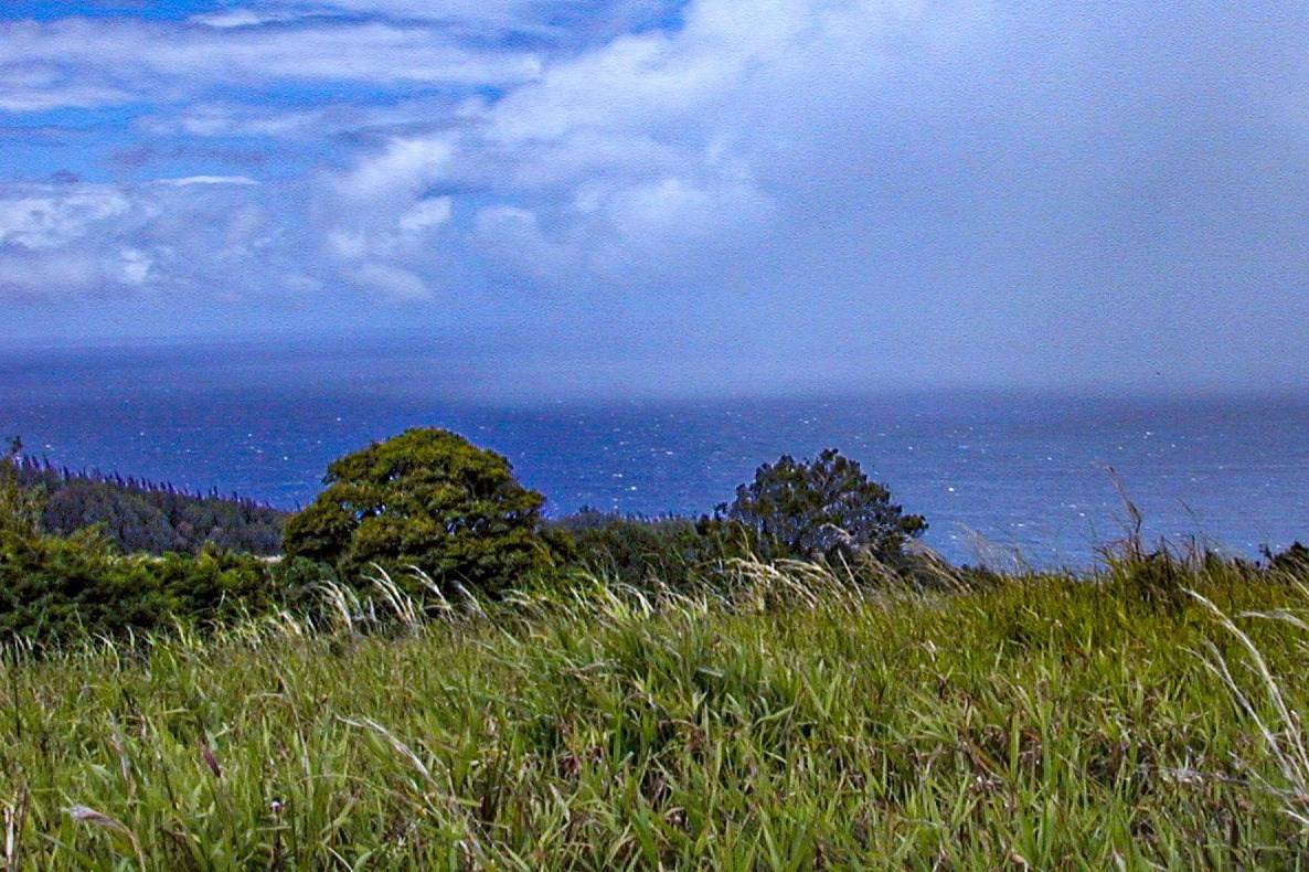 Laupahoehoe, HI 96764,SPENCER RD