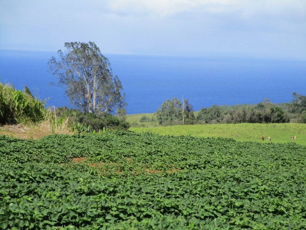 Laupahoehoe, HI 96764,Papaaloa Rd.