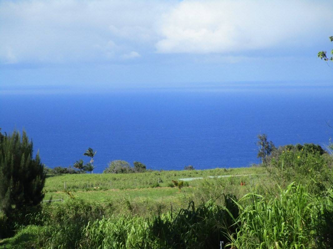 Laupahoehoe, HI 96764,Papaaloa Rd.