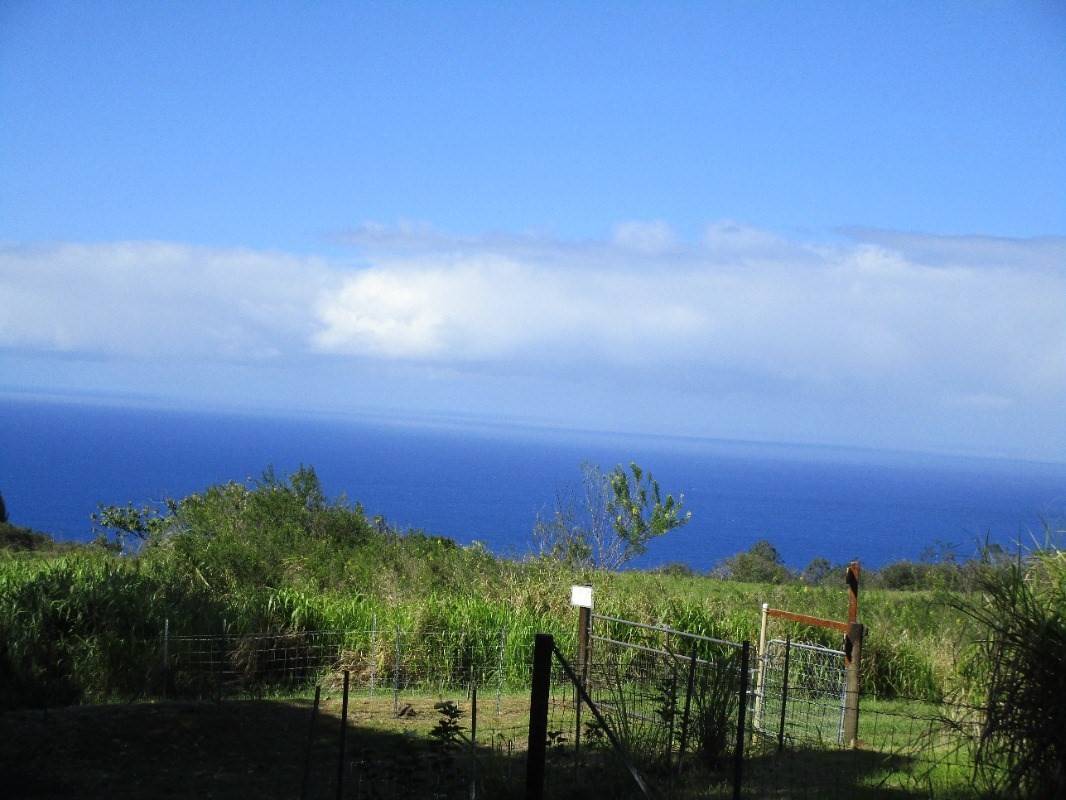 Laupahoehoe, HI 96764,Papaaloa Rd.