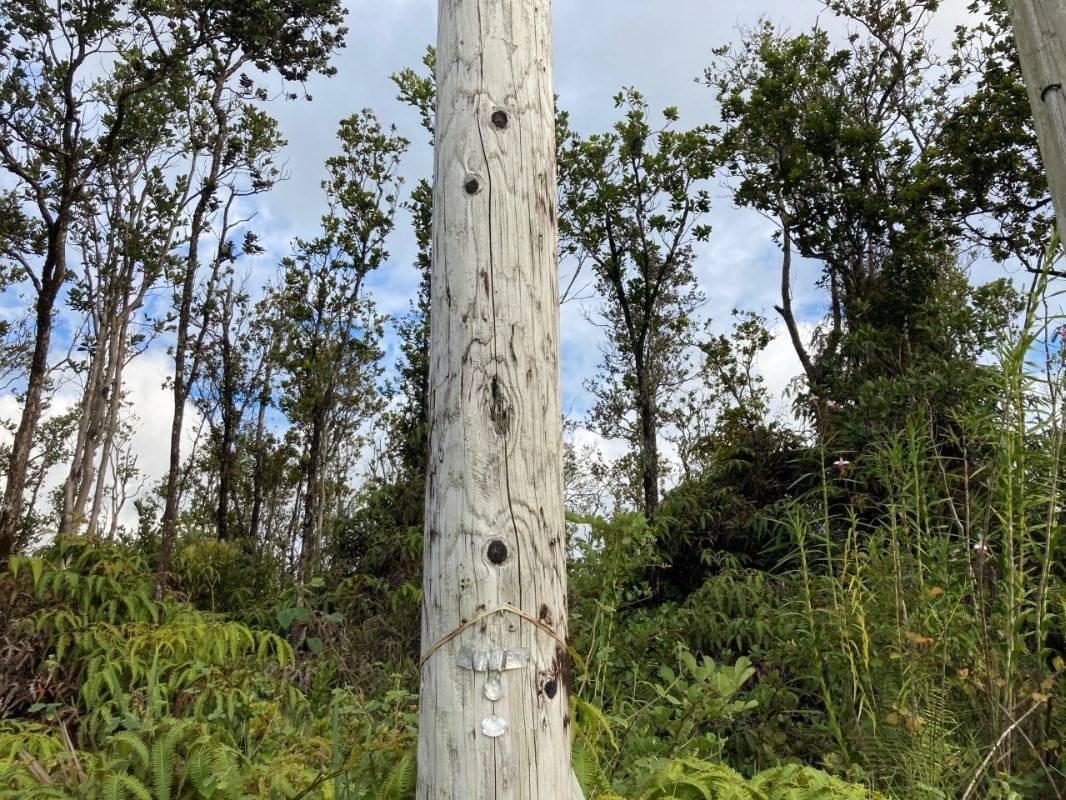 Volcano, HI 96785,OHIALANI RD