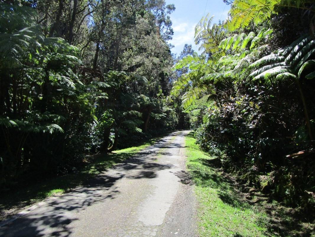 Volcano, HI 96785,ALANUI IIWI