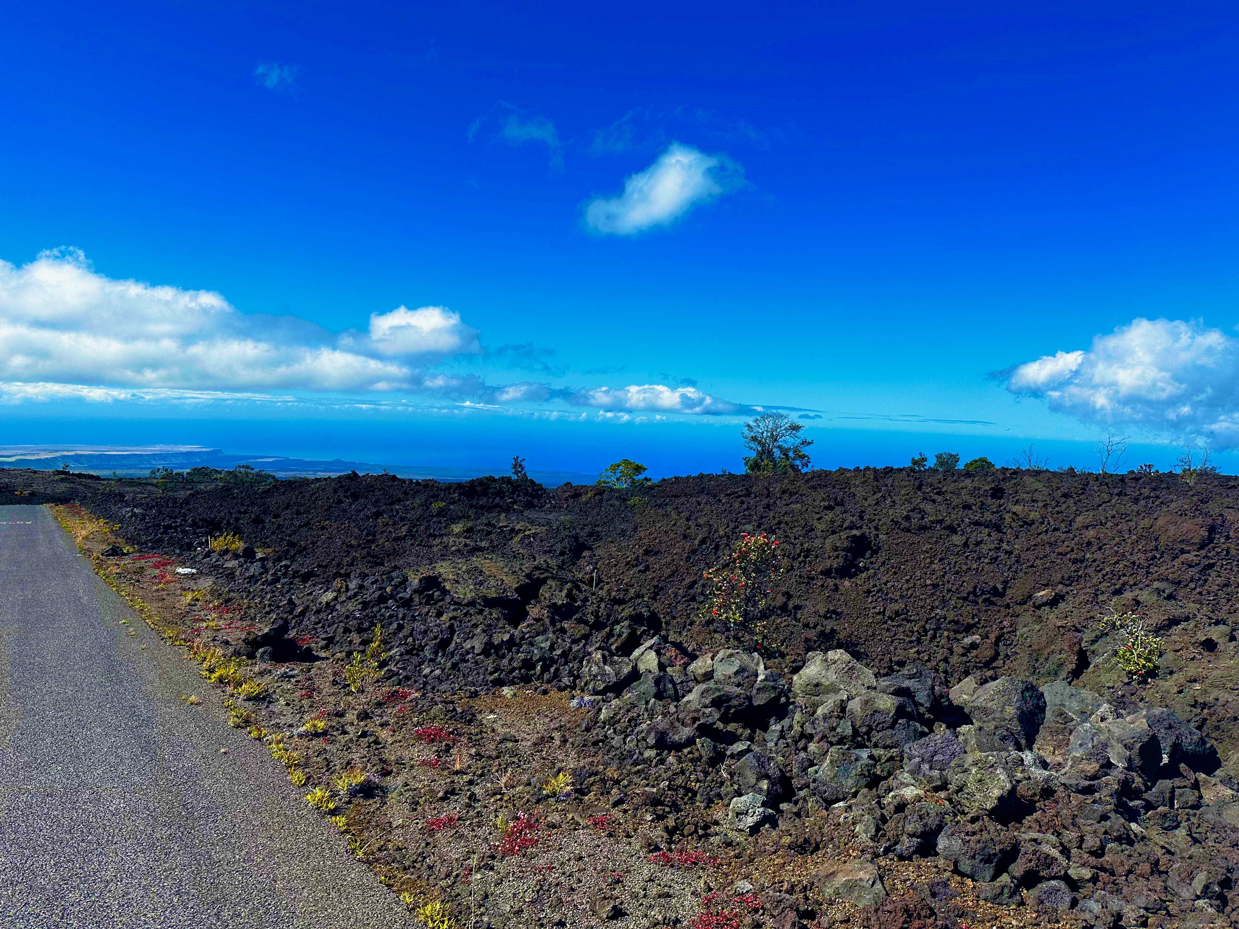 Ocean View, HI 96737,92-8211 KING KALAKAUA LN