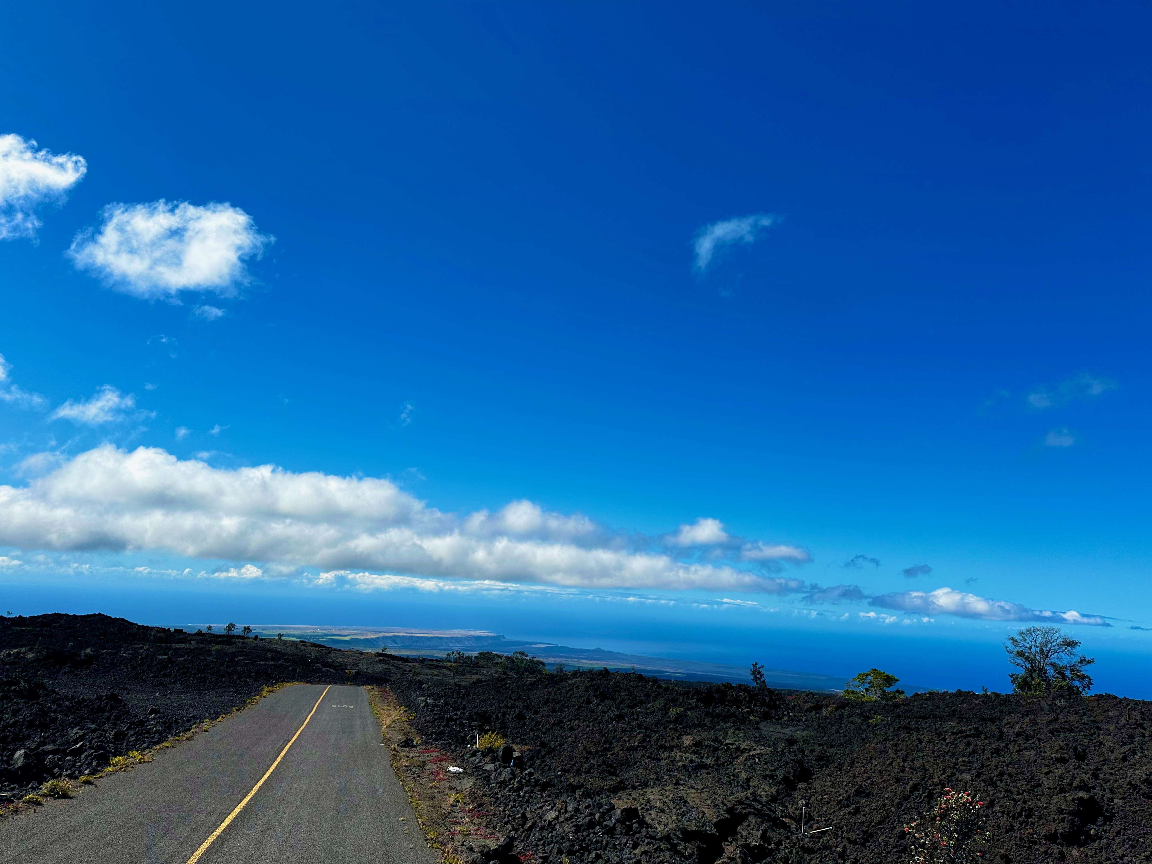 Ocean View, HI 96737,92-8211 KING KALAKAUA LN