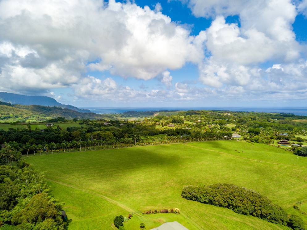 Princeville, HI 96722,3791 AHONUI PL #C