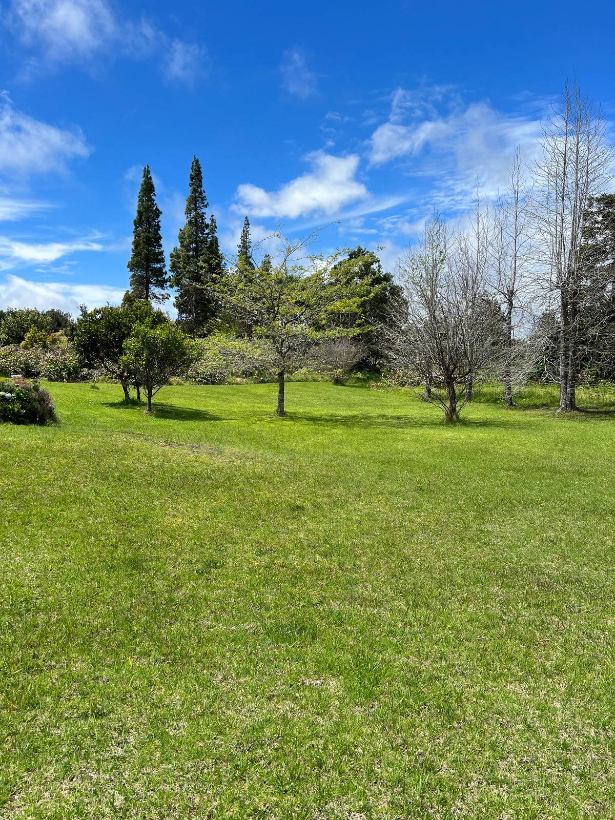 Hawaiian Natl Park, HI 96718,PUKEAWE CIR