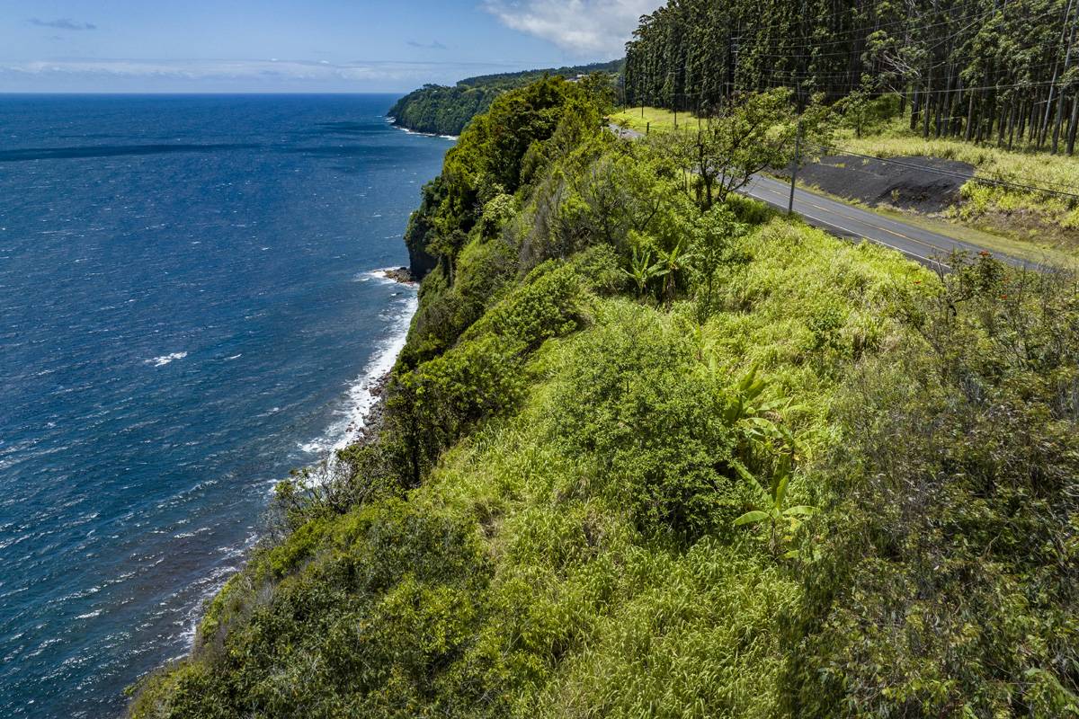 Laupahoehoe, HI 96764,35-1714 HAWAII BELT RD