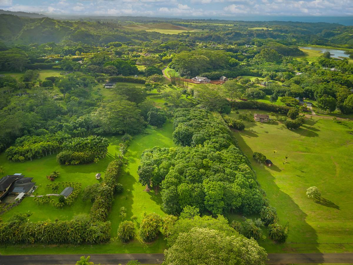 Kilauea, HI 96754,HALAULANI RD