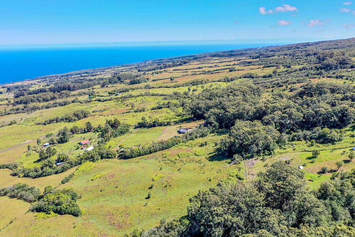 Laupahoehoe, HI 96764,36-772 SPENCER RD