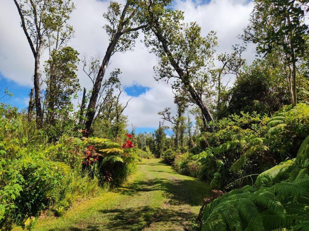 Volcano, HI 96785,11-2060 ALII WAO RD