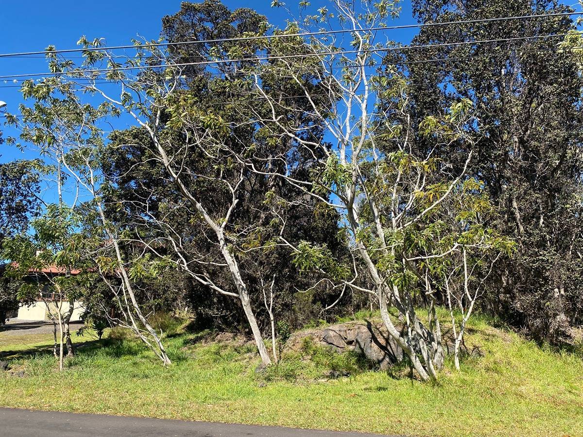 Volcano, HI 96785,99-1898 PUKEAWE CIRCLE