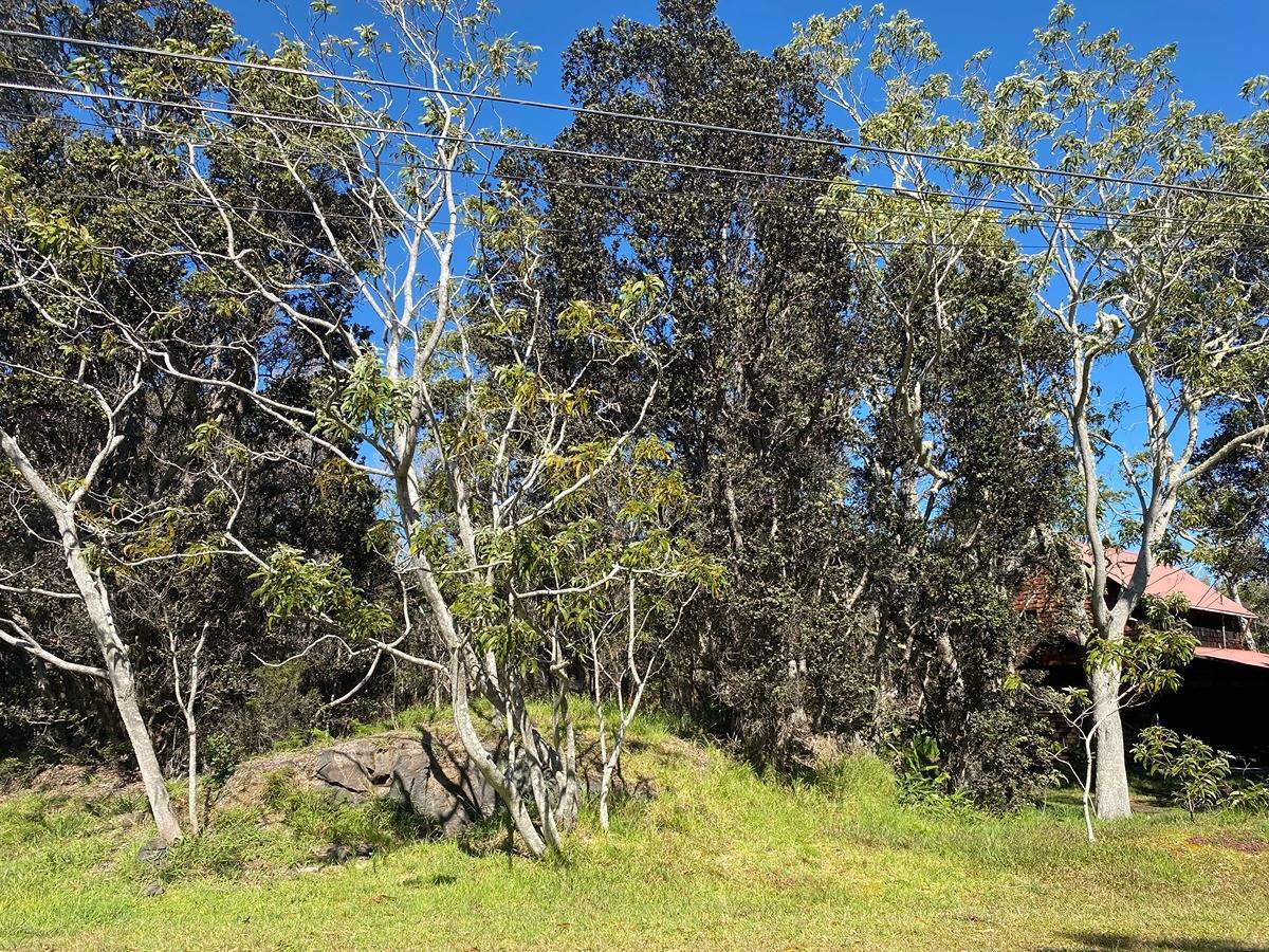 Volcano, HI 96785,99-1898 PUKEAWE CIRCLE