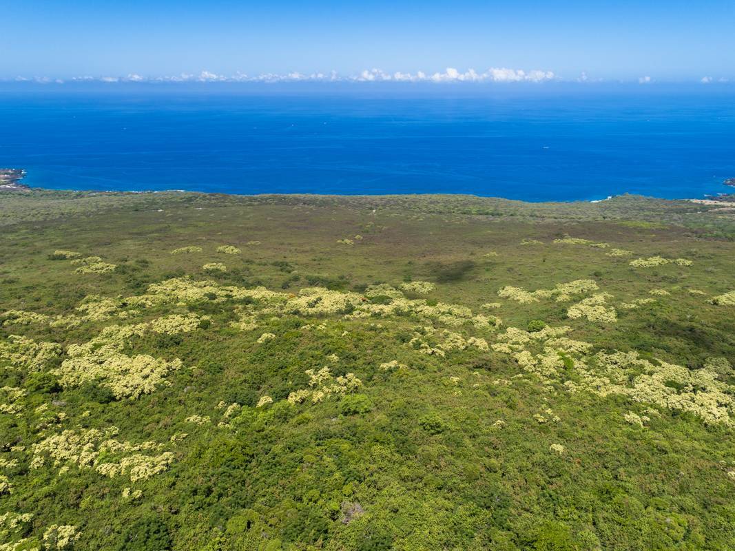 Kailua Kona, HI 96740