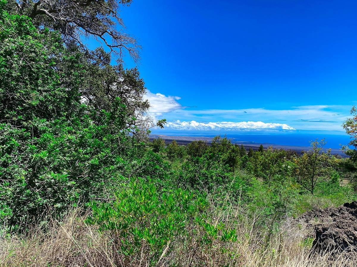 Ocean View, HI 96737,KEAKA PKWY