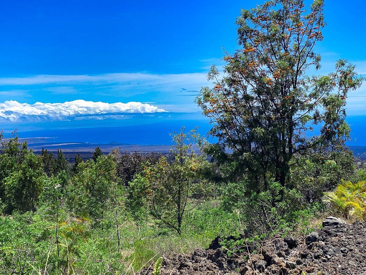 Ocean View, HI 96737,KEAKA PKWY