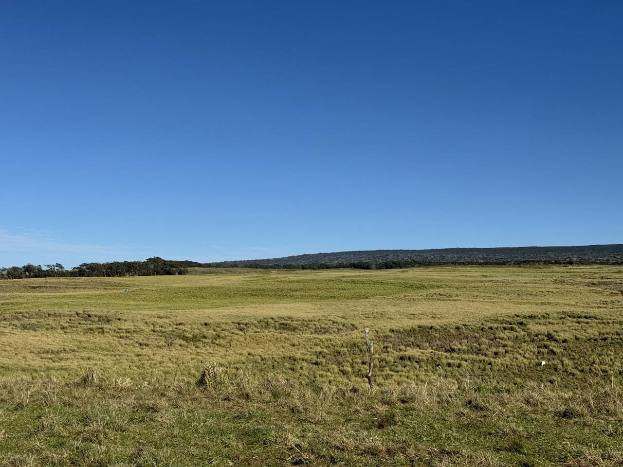 Naalehu, HI 96772,KAALUALU RD