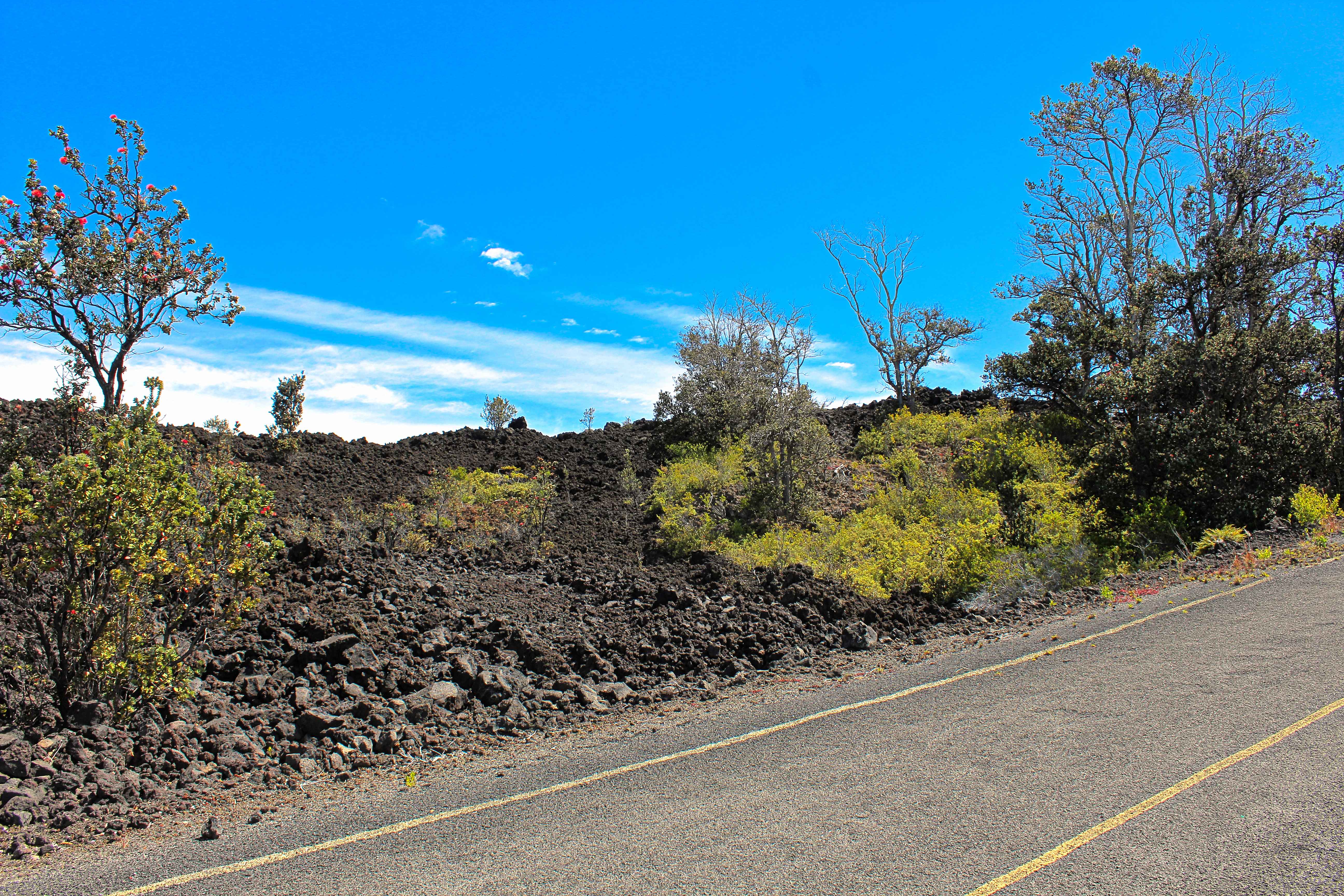 Ocean View, HI 96737,HUKILAU DR