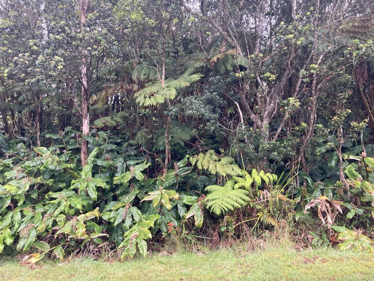 Volcano, HI 96785,NAHELENANI ST