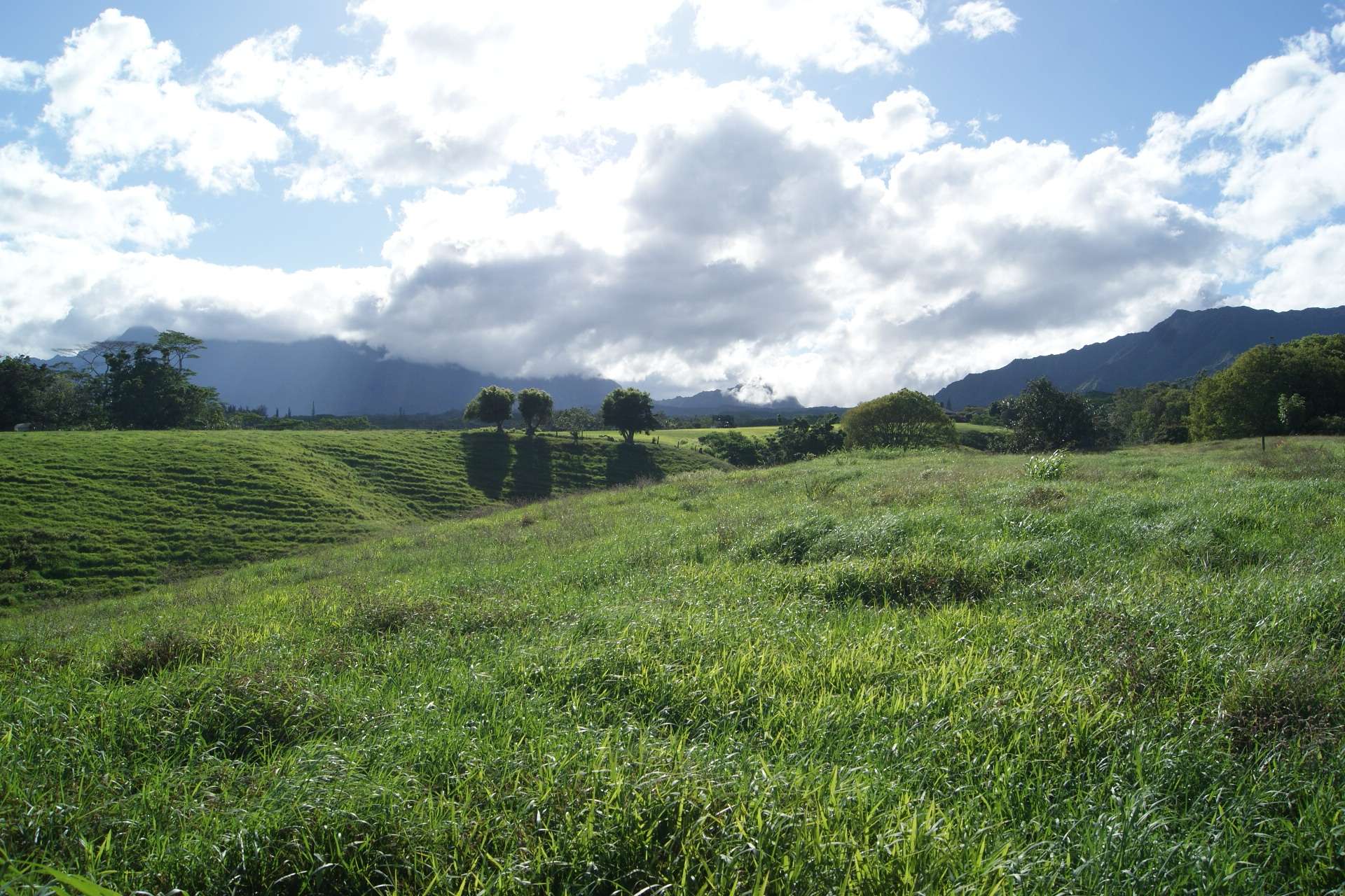 Kapaa, HI 96746,OLOHENA RD