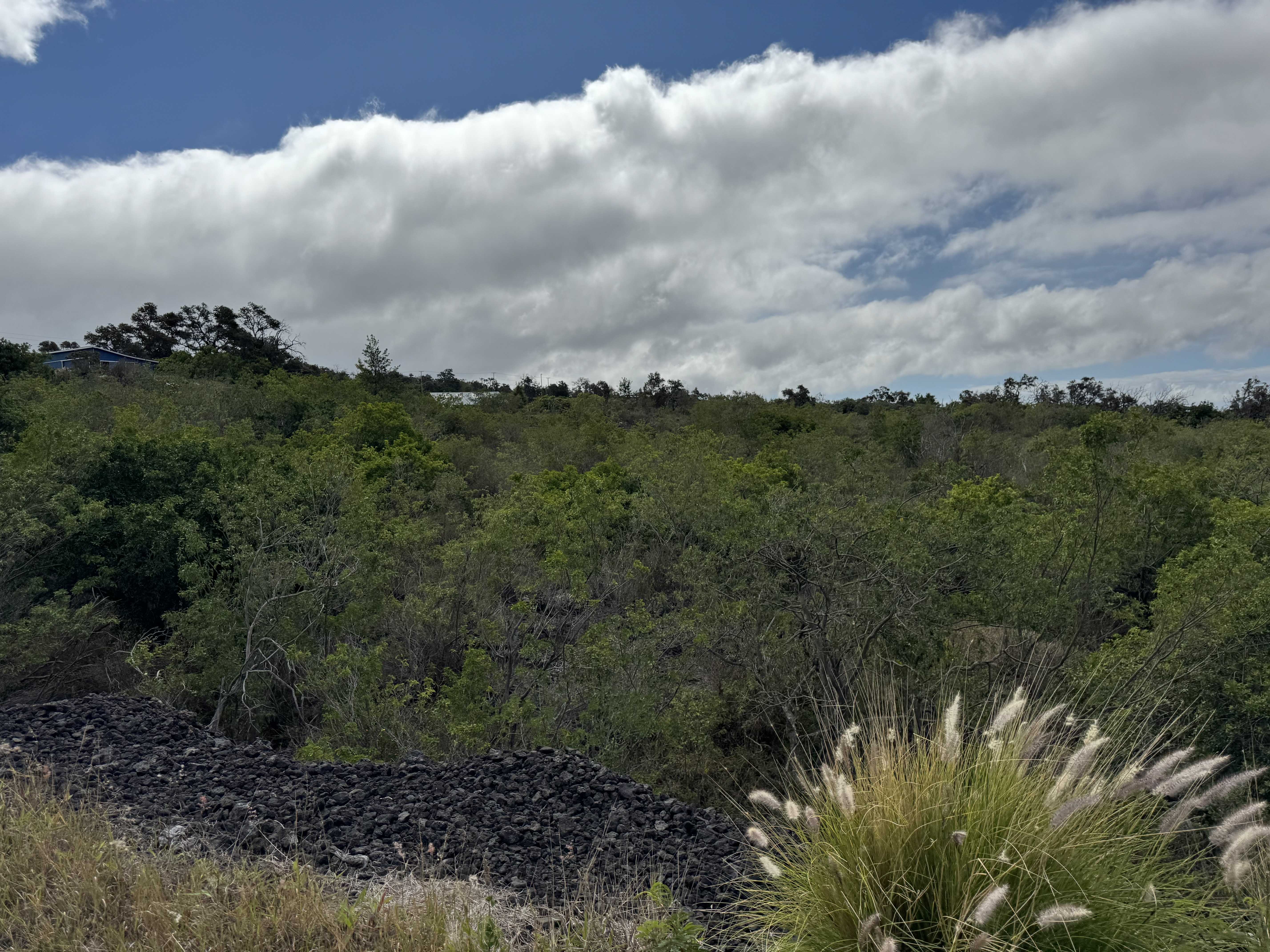 Ocean View, HI 96737,ALII BLVD