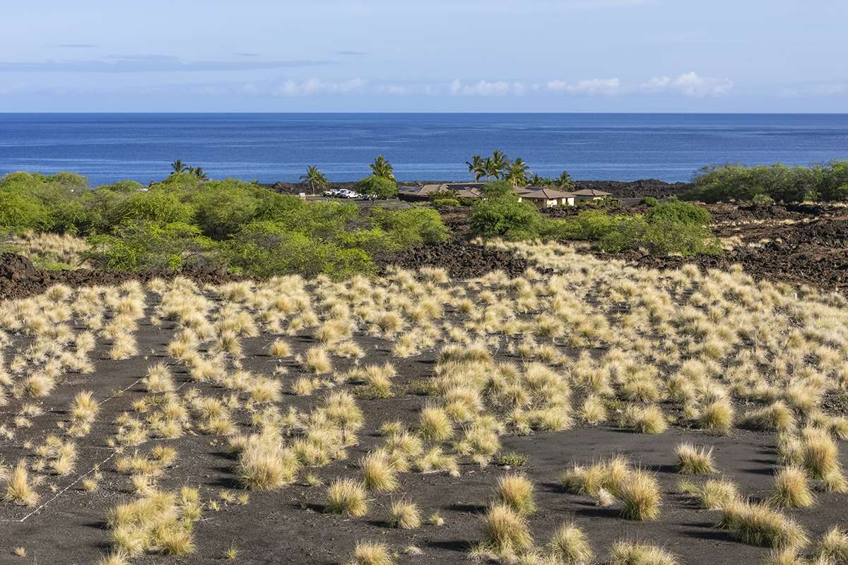 Kailua Kona, HI 96740,72-3128 ALAPII KULA DR