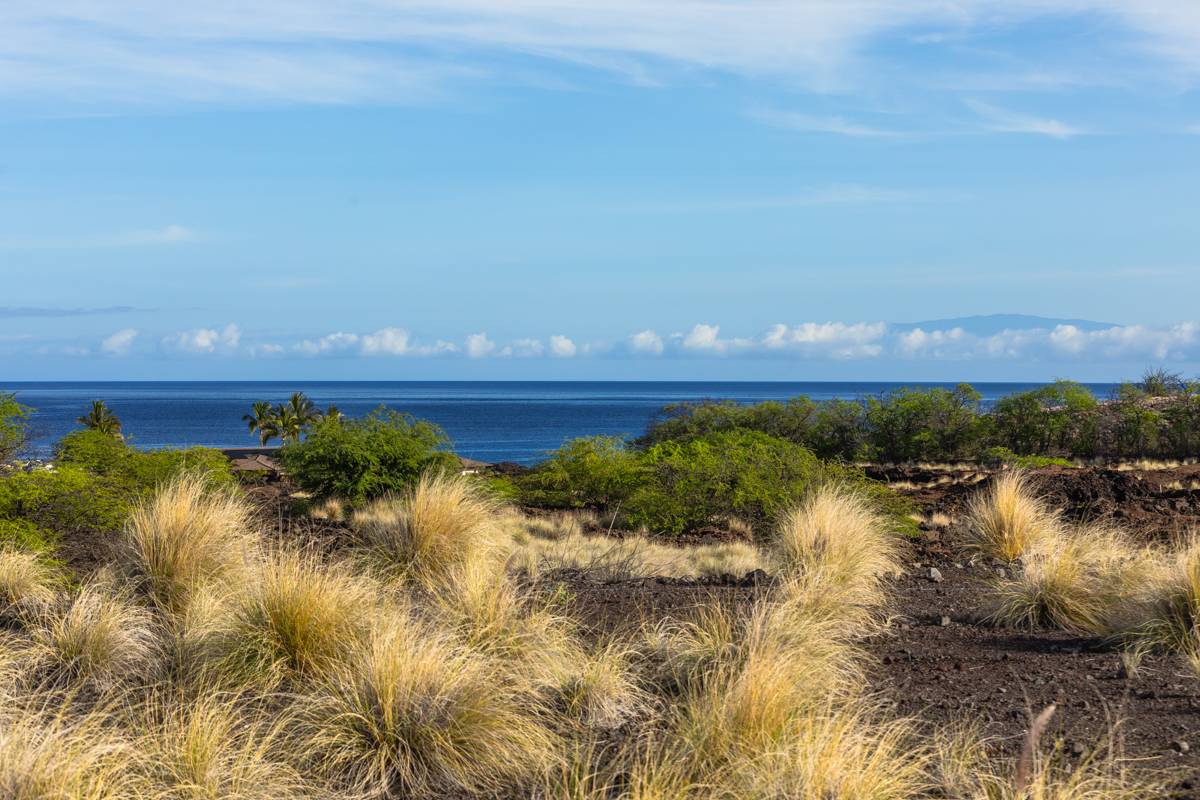 Kailua Kona, HI 96740,72-3128 ALAPII KULA DR