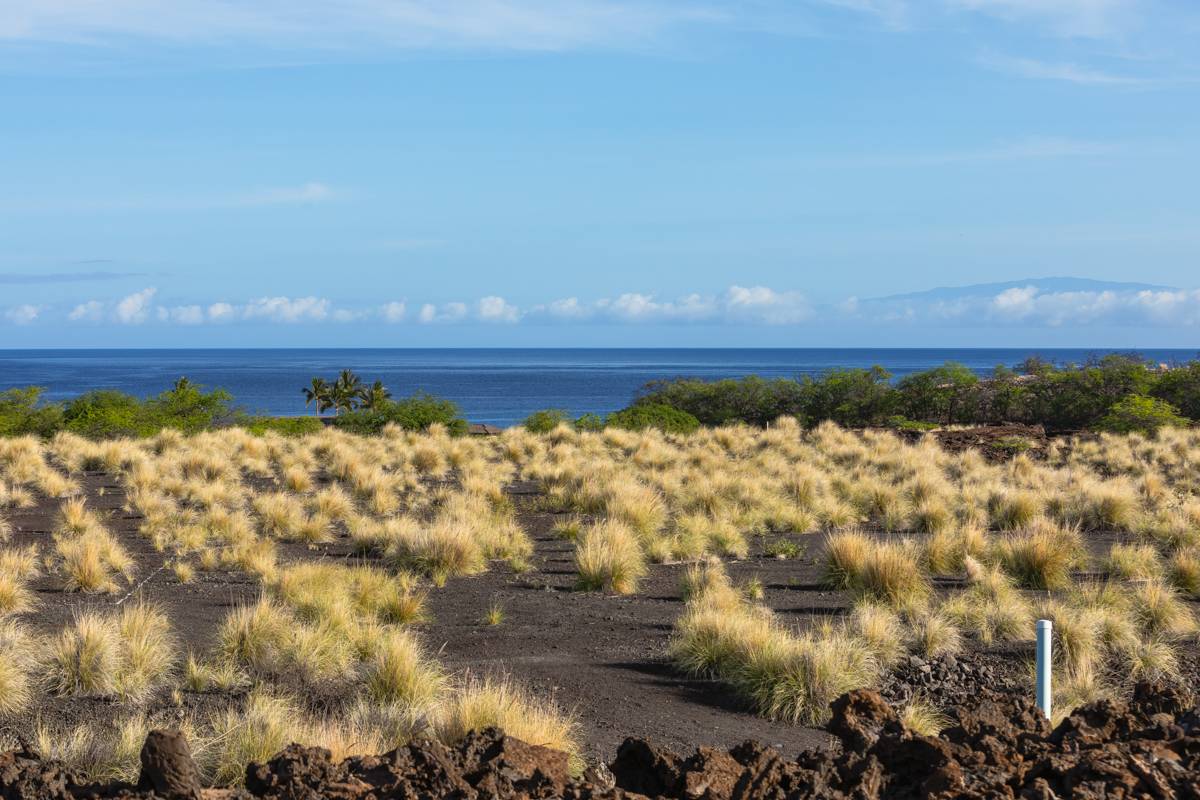 Kailua Kona, HI 96740,72-3128 ALAPII KULA DR