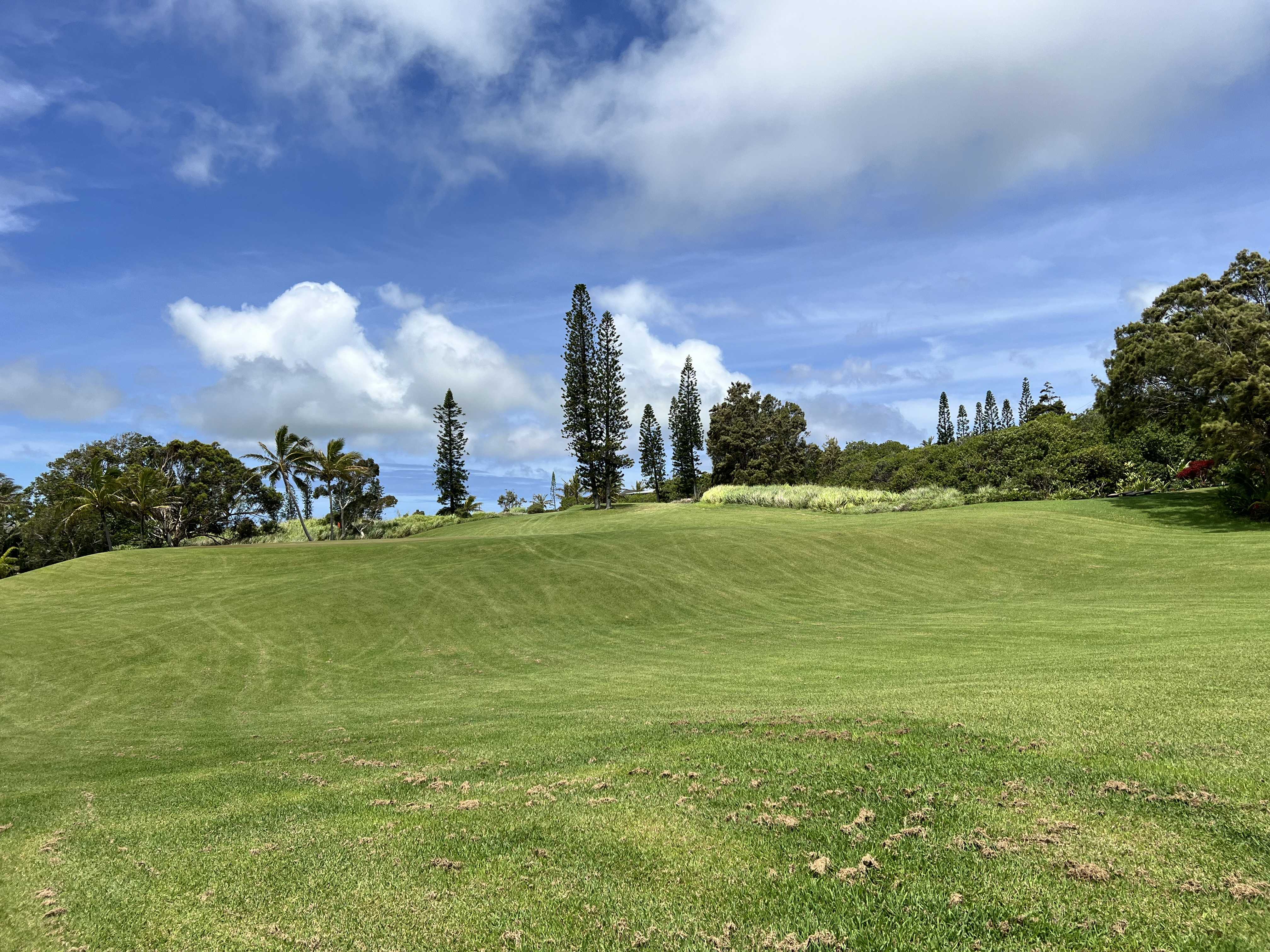 Naalehu, HI 96772,KALAKAU ST