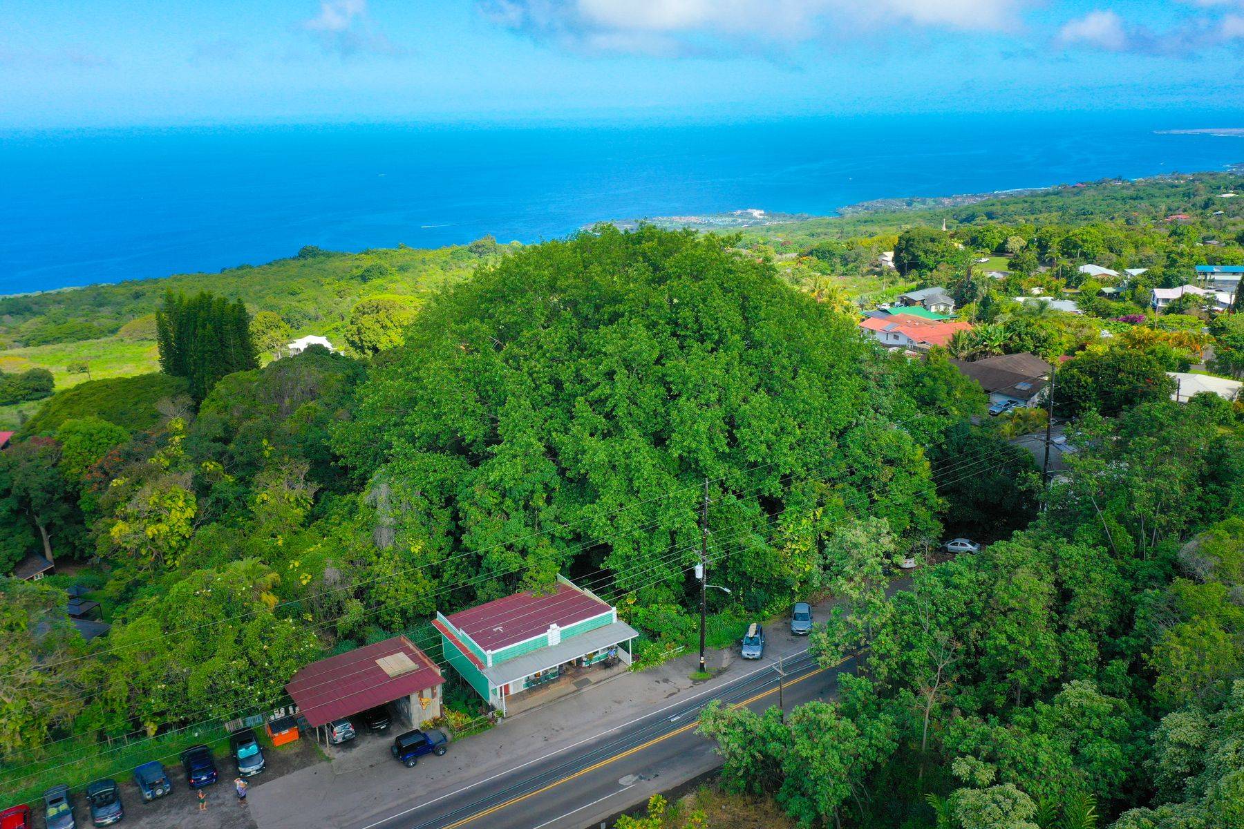 Kealakekua, HI 96750,79-7288 HAWAII BELT RD