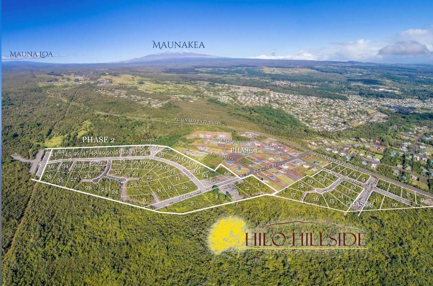 Hilo, HI 96720,4017 KILAKILA PL