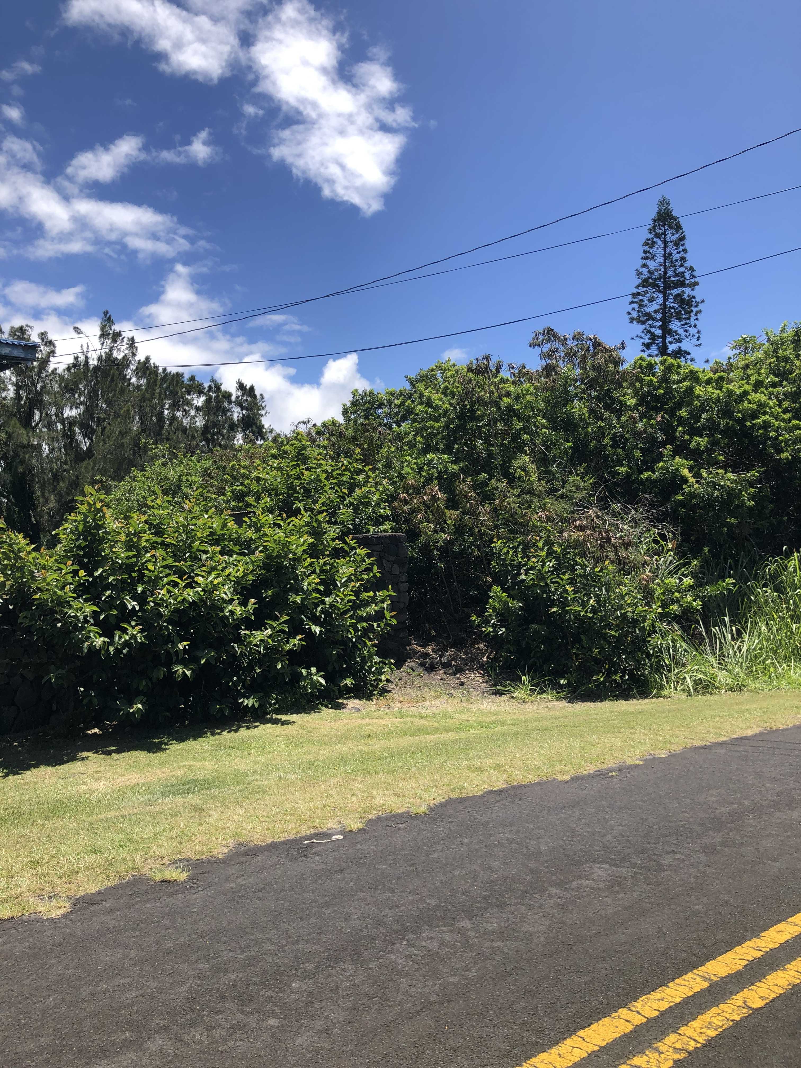 Naalehu, HI 96772,KAULUA ST