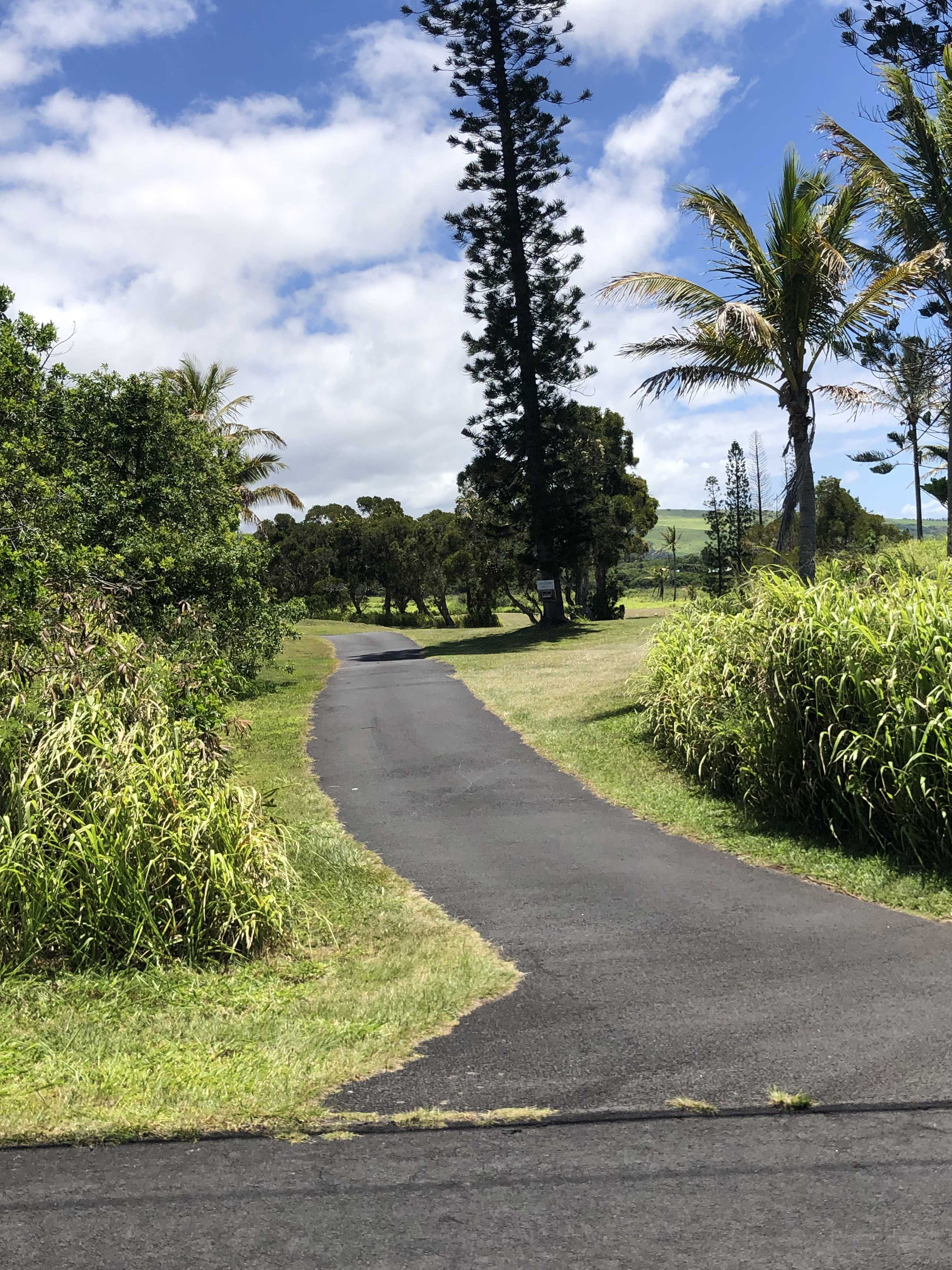 Naalehu, HI 96772,KAULUA ST