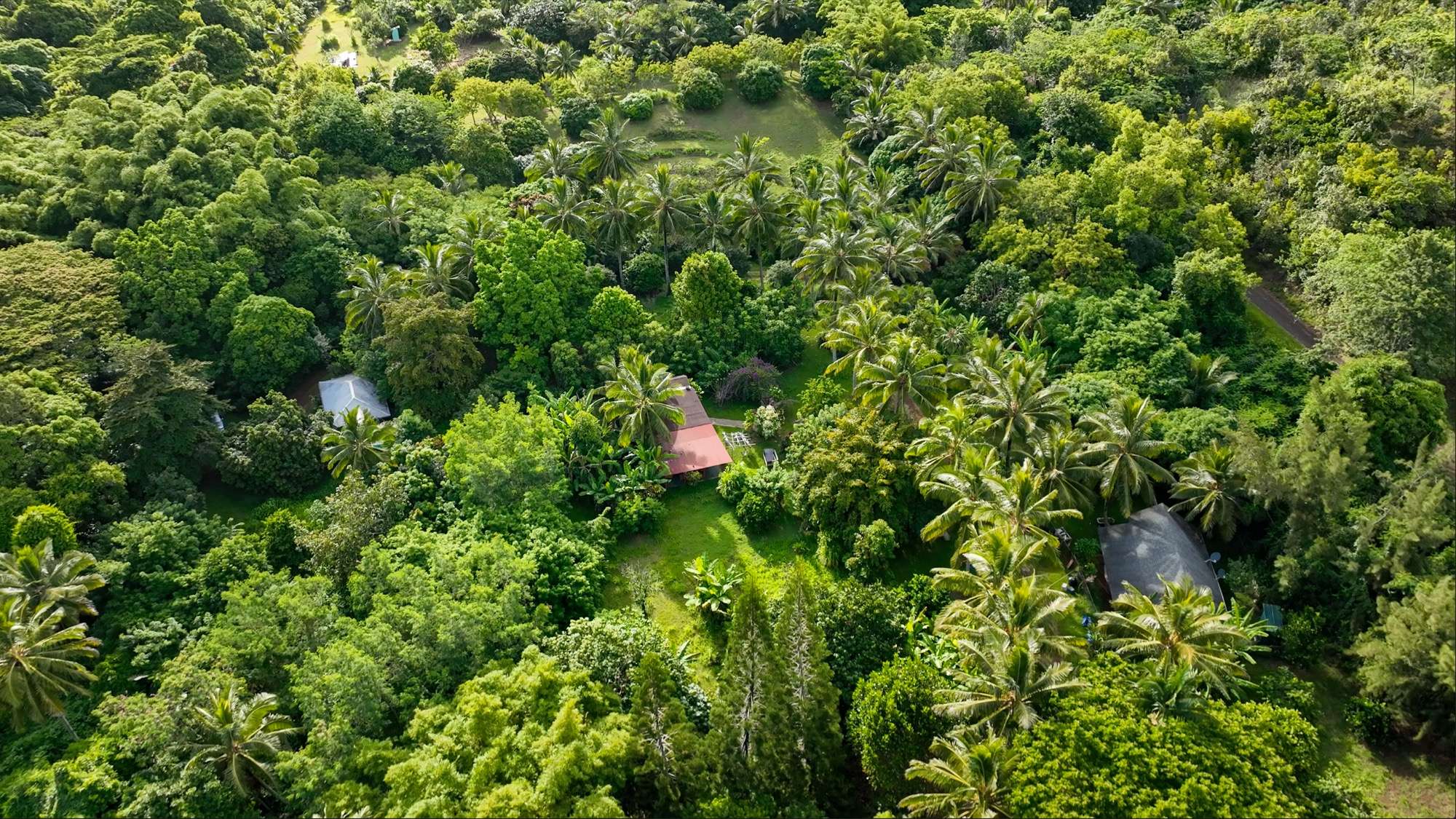 Anahola, HI 96746,6565-C KOOLAU RD