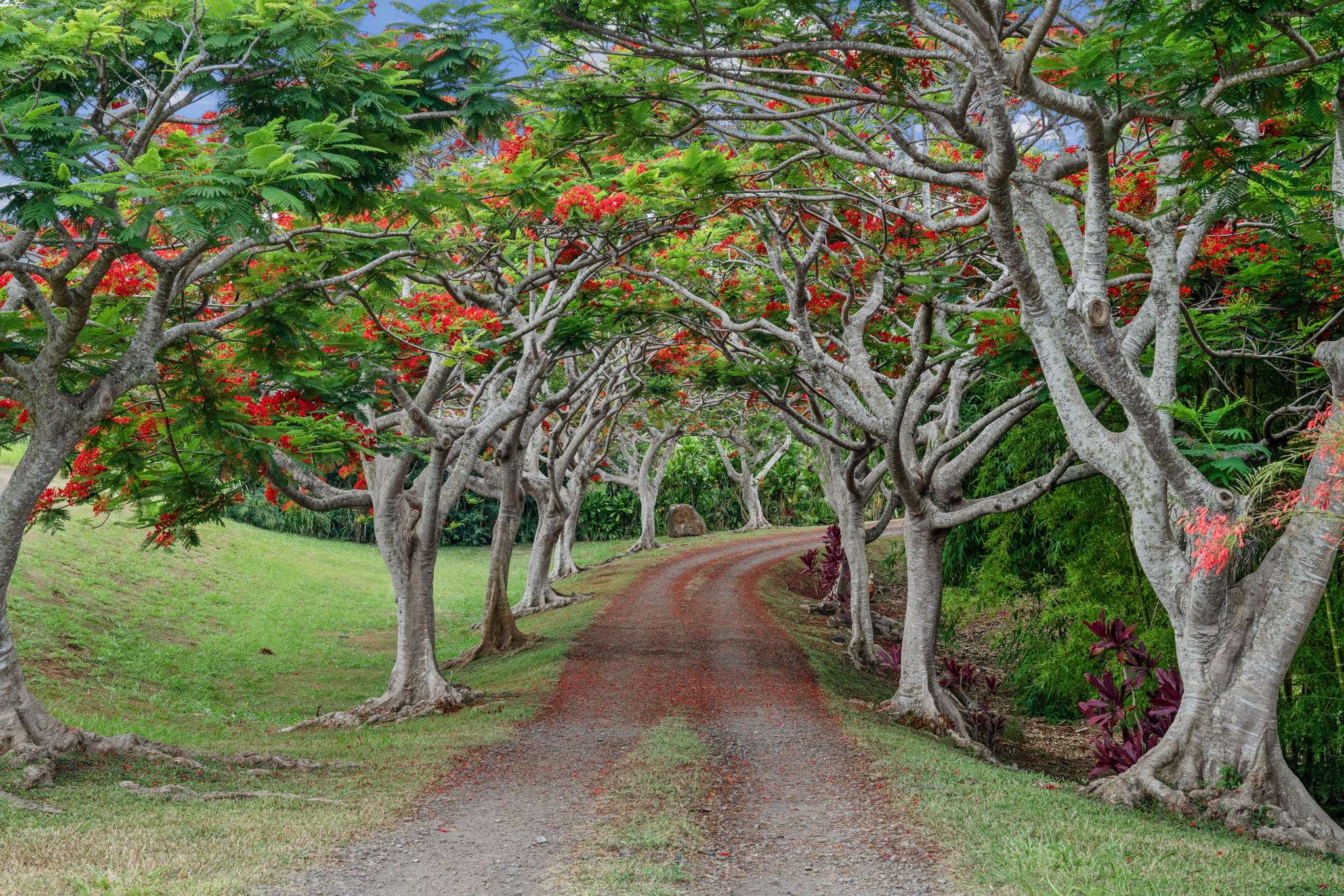 Kilauea, HI 96754,7473-E KOOLAU RD