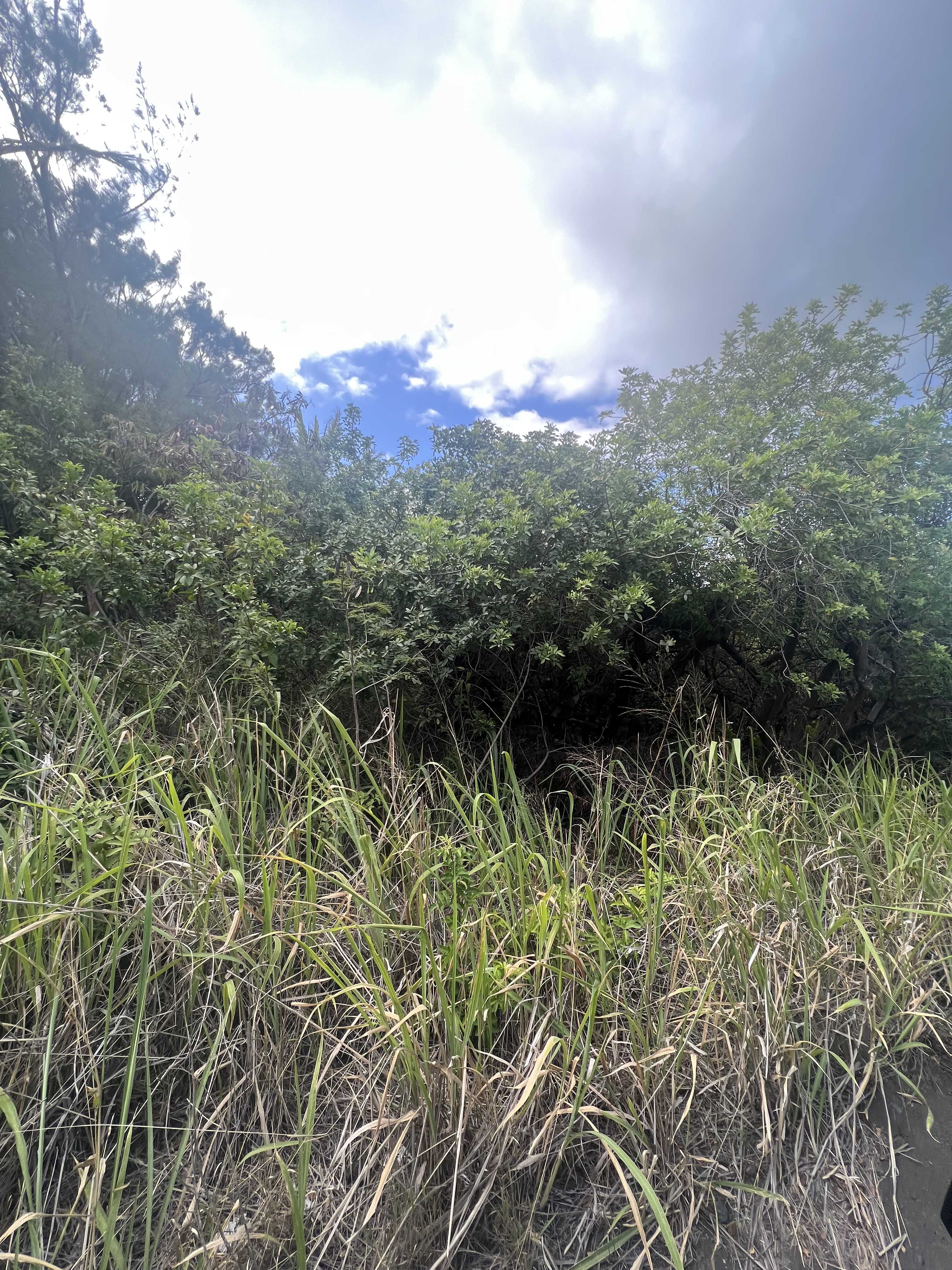 Naalehu, HI 96772,94-6518 PUUKANI RD