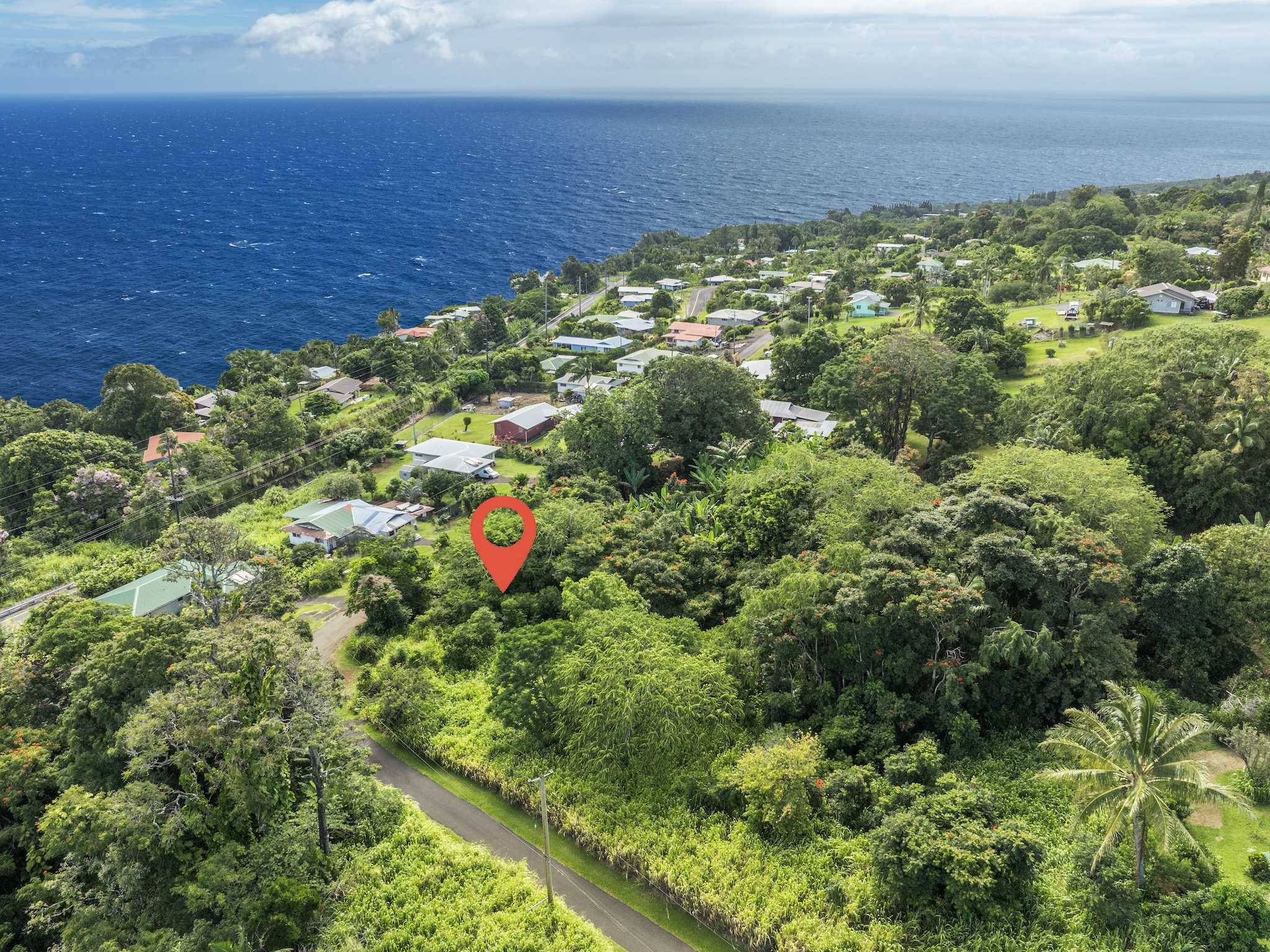 Laupahoehoe, HI 96764,PUUALAEA HOMESTEAD RD