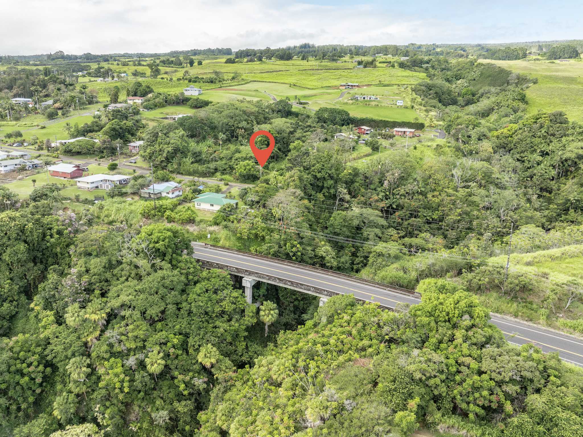 Laupahoehoe, HI 96764,PUUALAEA HOMESTEAD RD