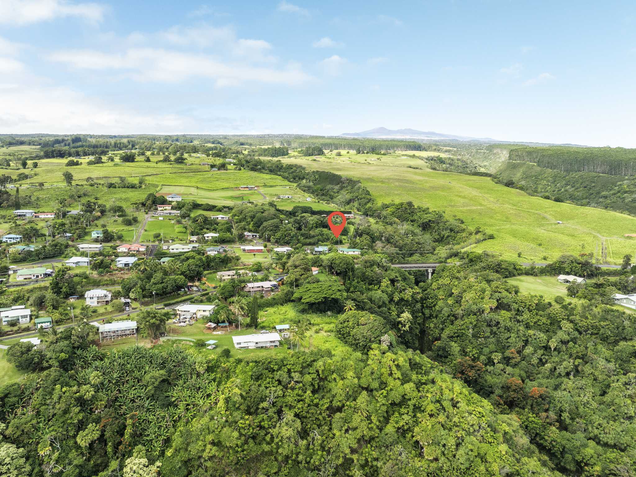 Laupahoehoe, HI 96764,PUUALAEA HOMESTEAD RD