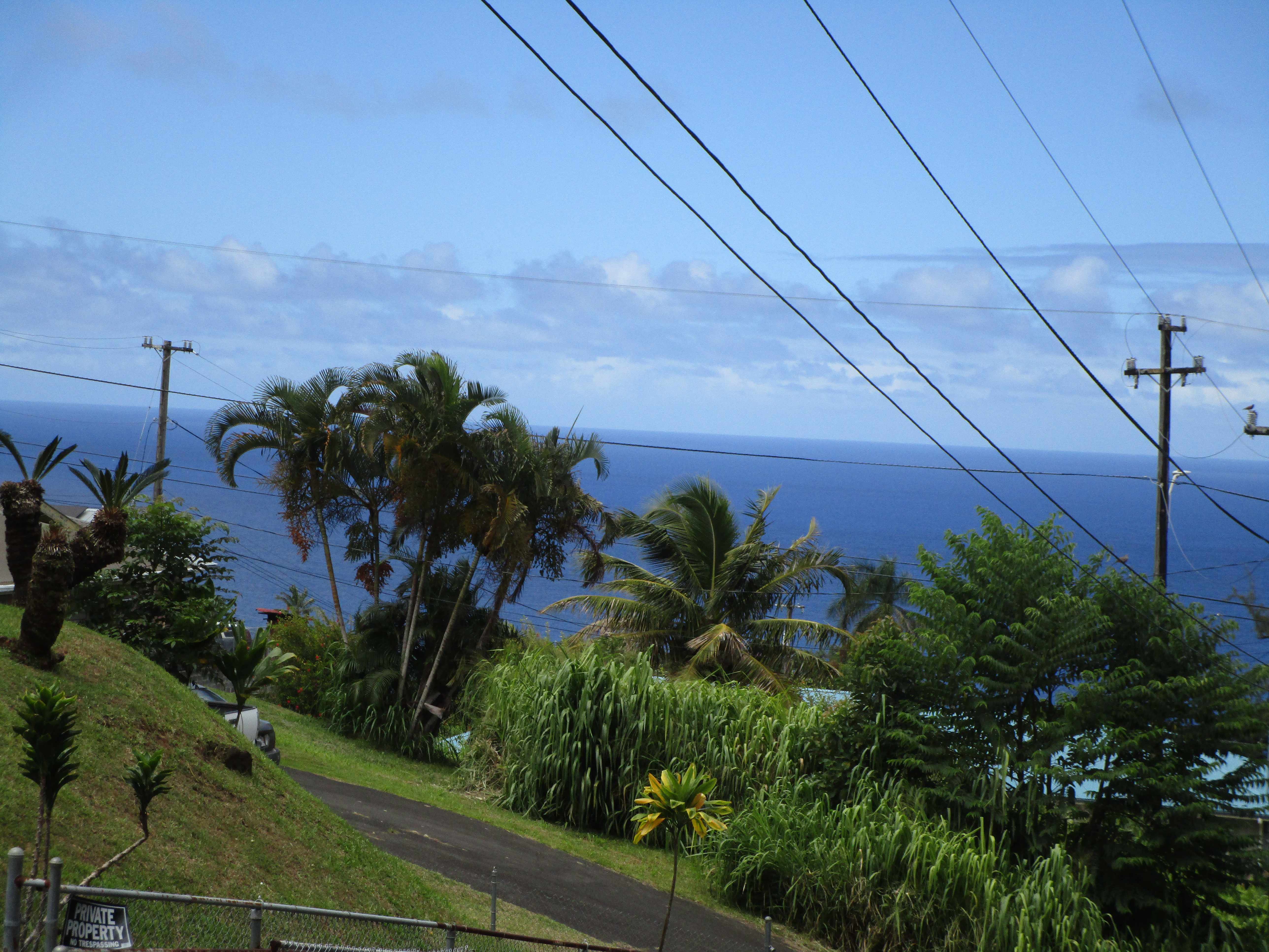 Laupahoehoe, HI 96764,PUUALAEA HOMESTEAD RD