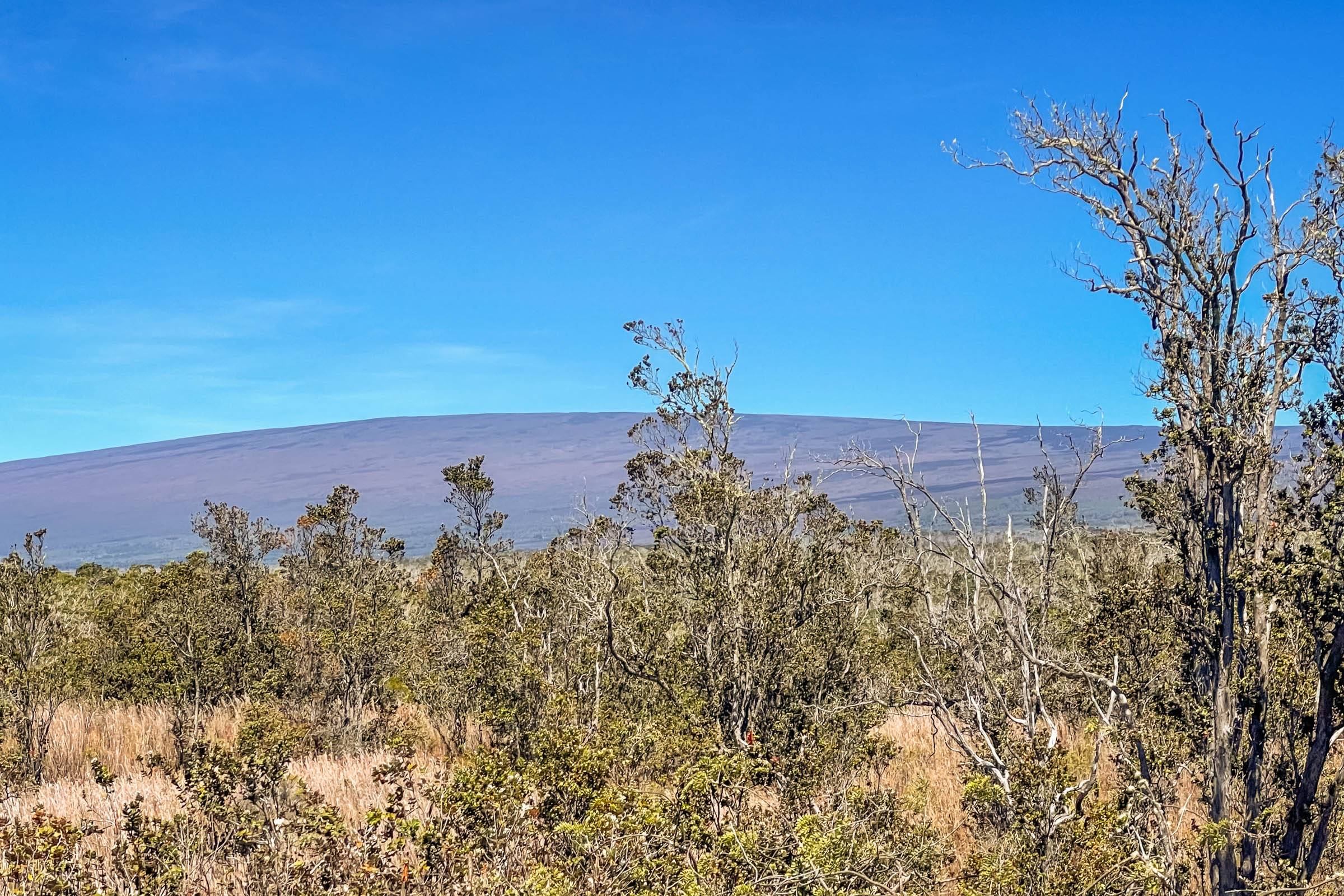 Hawaiian Natl Park, HI 96718,99-7813 KANAIO PL