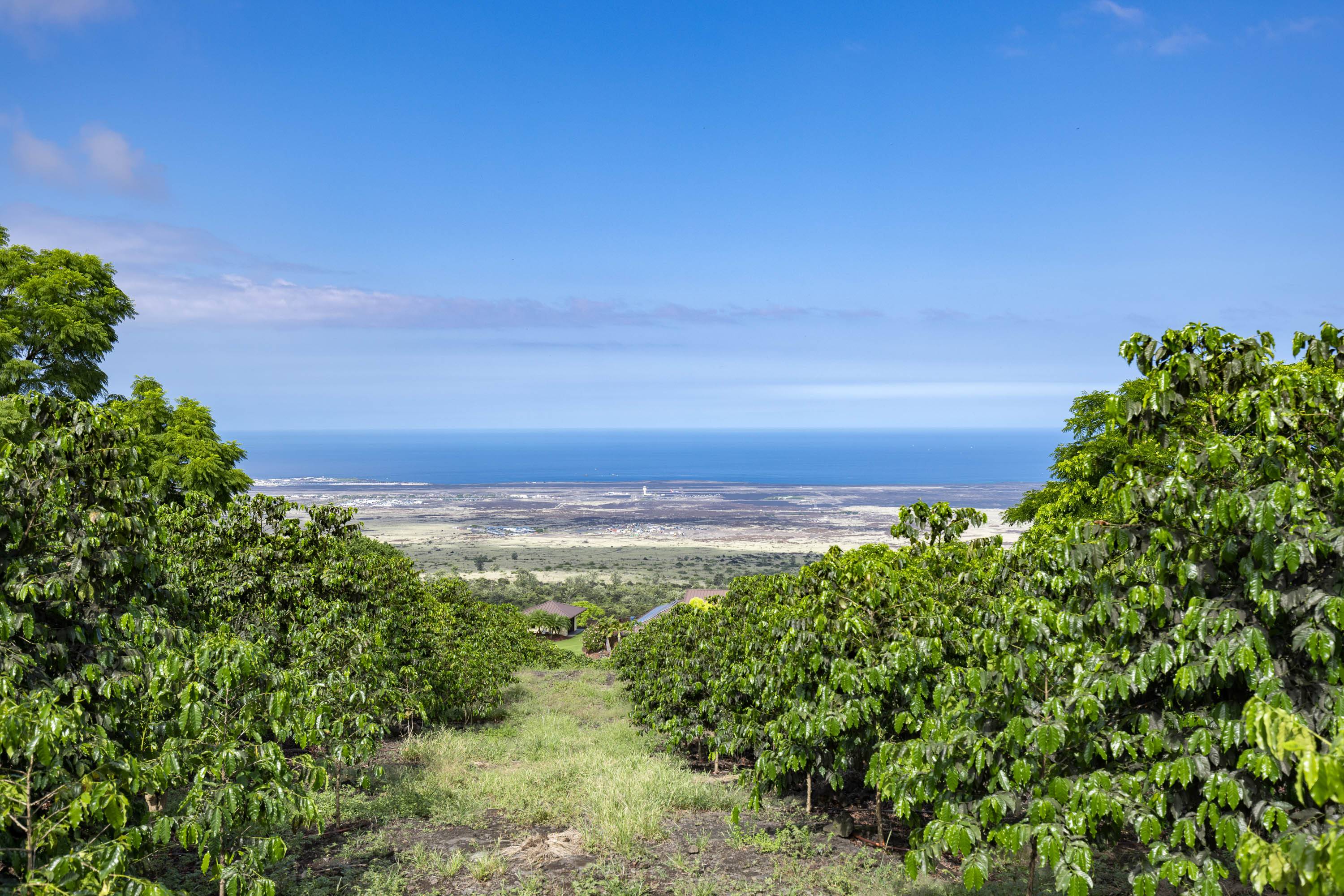 Kailua-Kona, HI 96740,72-4065 ALAHEE PL