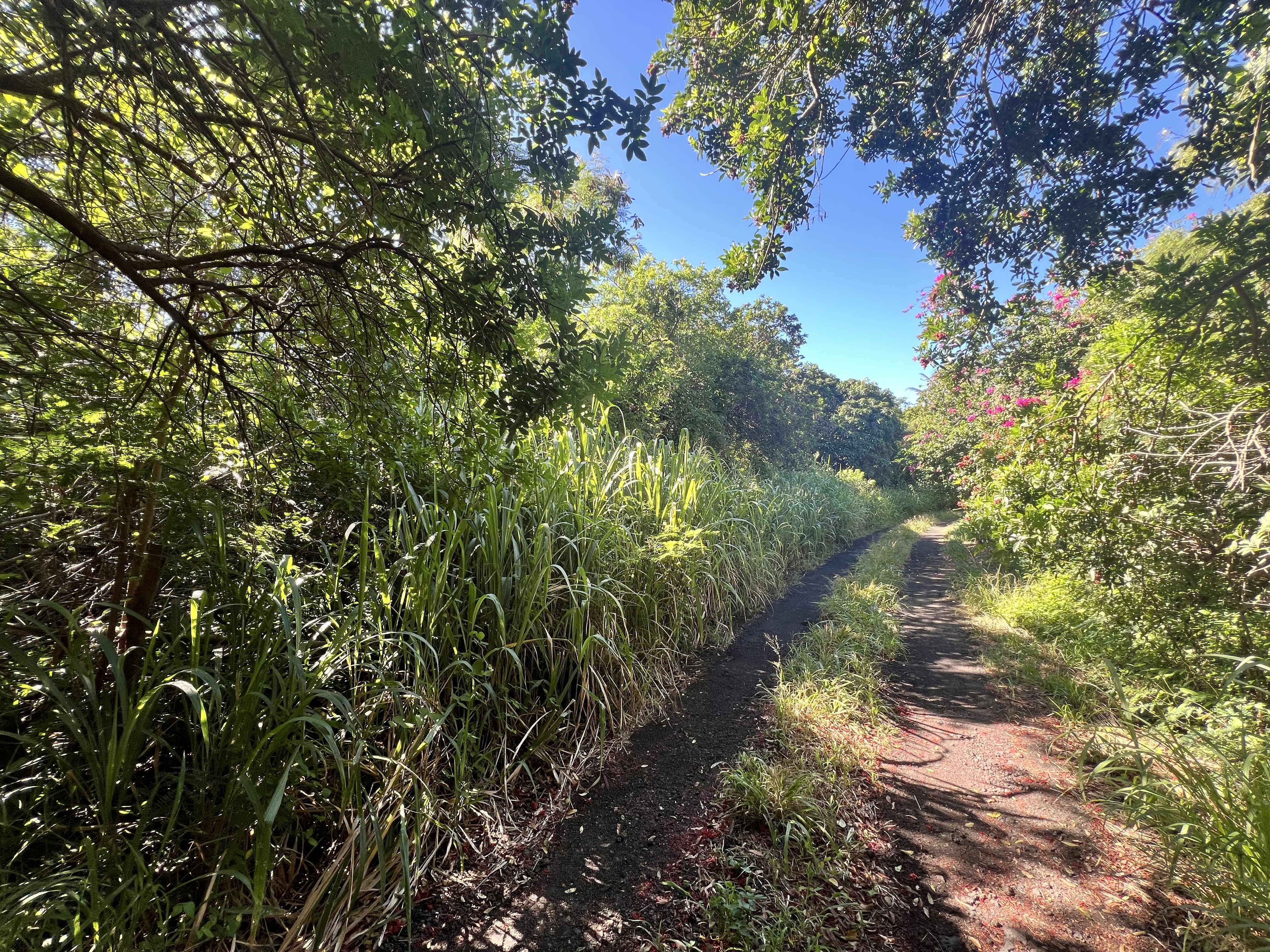 Naalehu, HI 96772,PALAOA RD