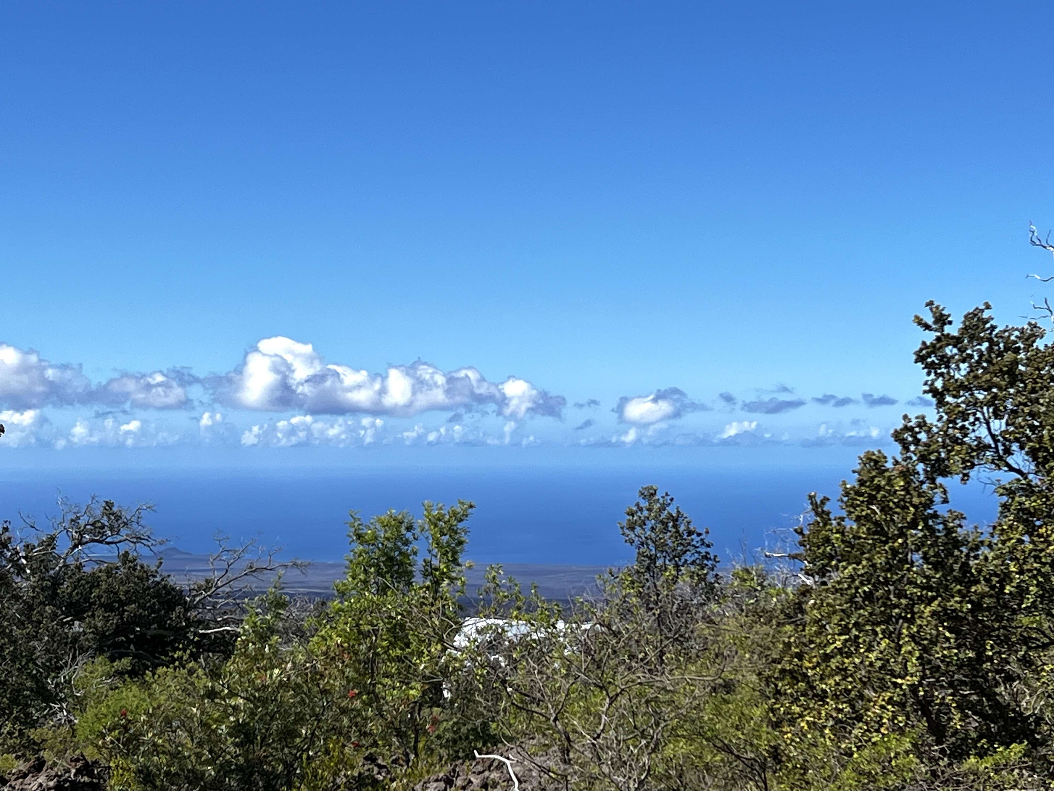 Ocean View, HI 96737,PRINCESS KAIULANI BLVD