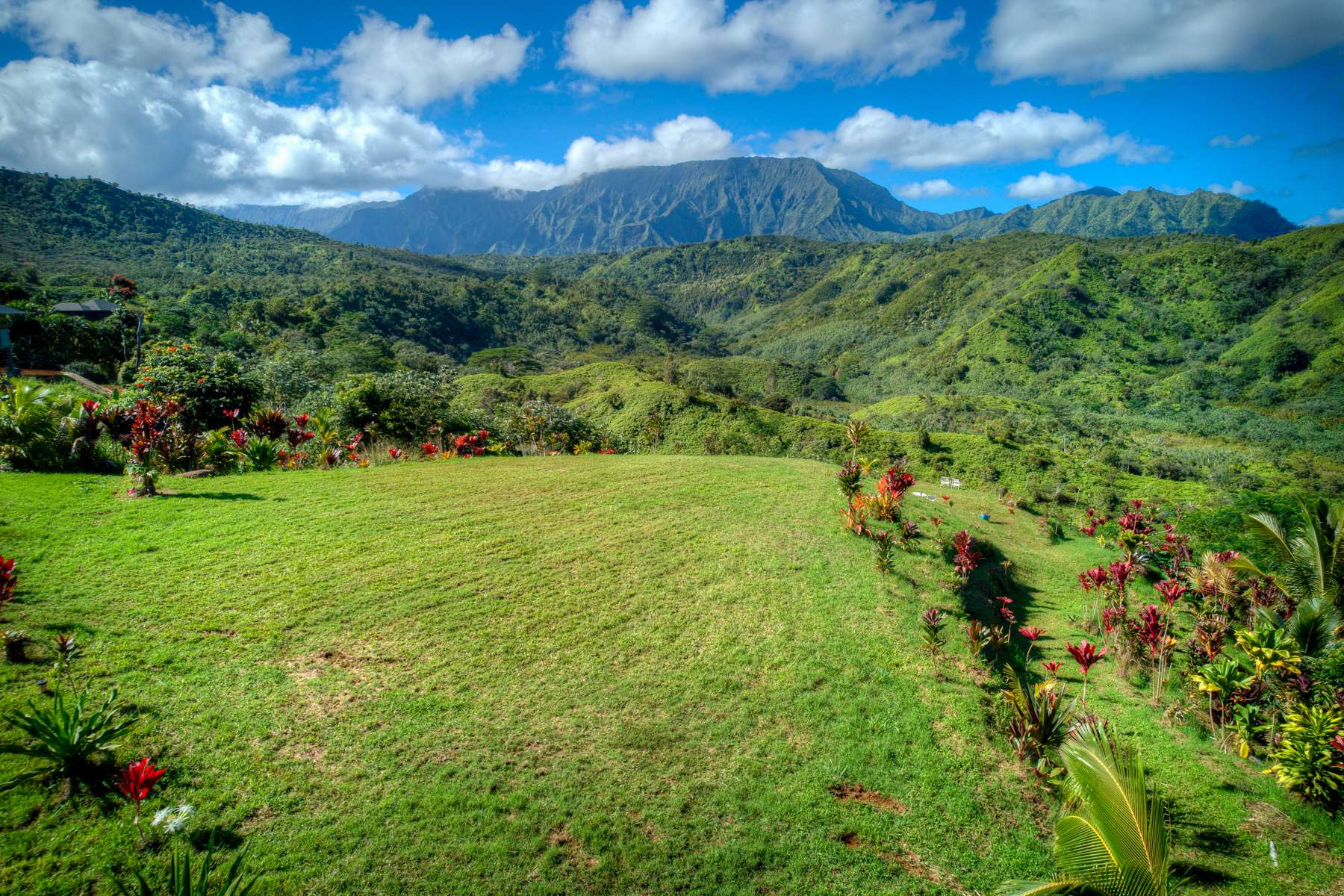 Kilauea, HI 96754,HALAULANI PL