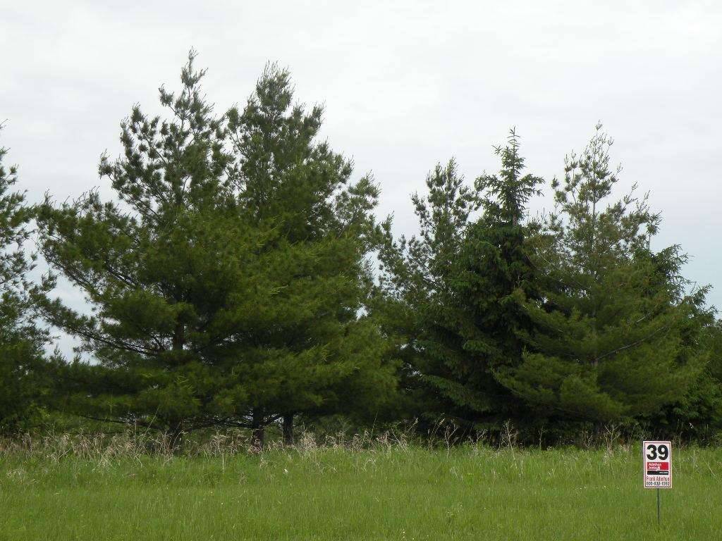 Ripon, WI 54971,Lot 39 Moraine Drive