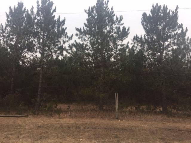 Adams, WI 53910,L1 County Road M