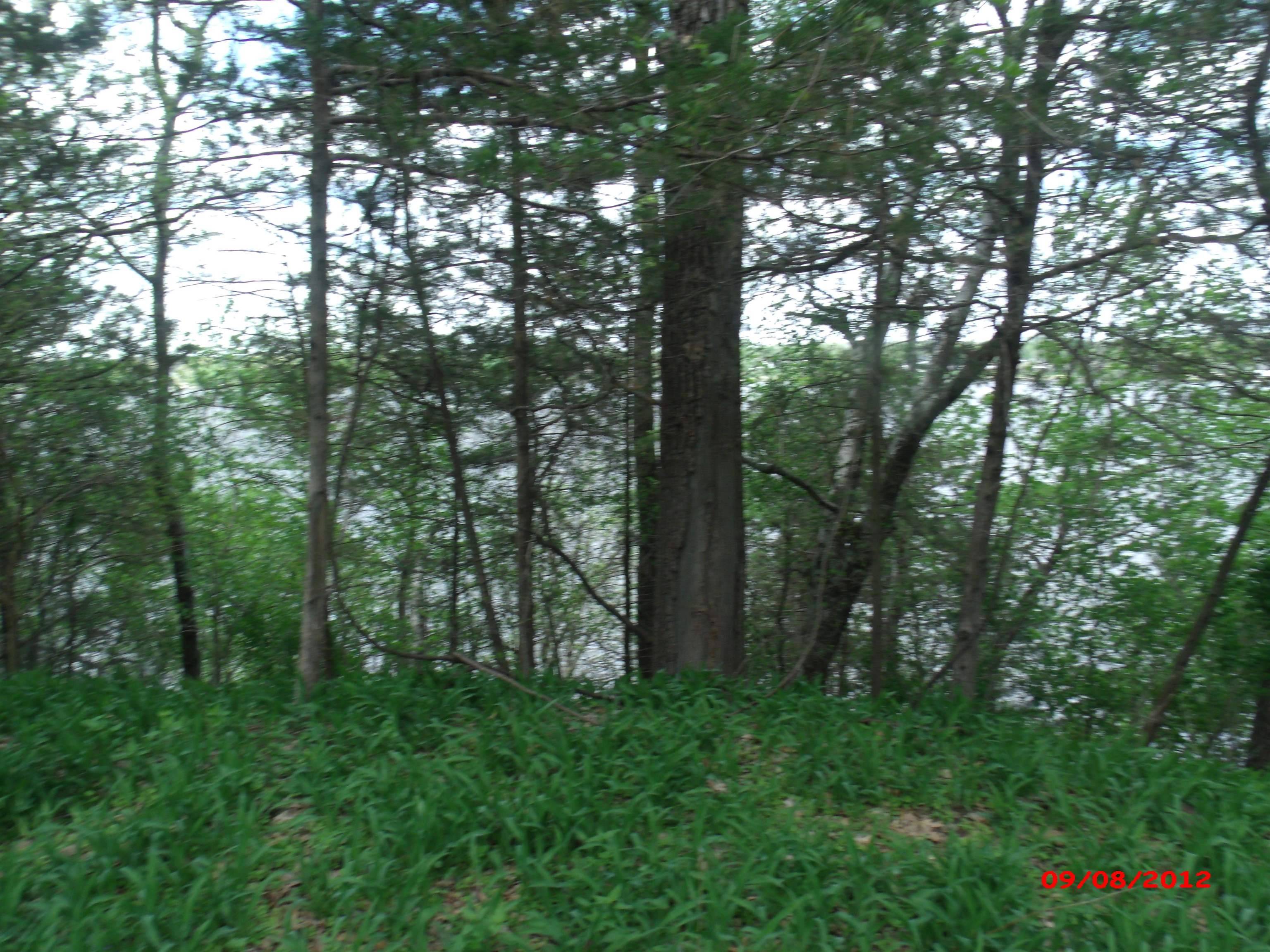 Montello, WI 53949,.57 Ac Water Street